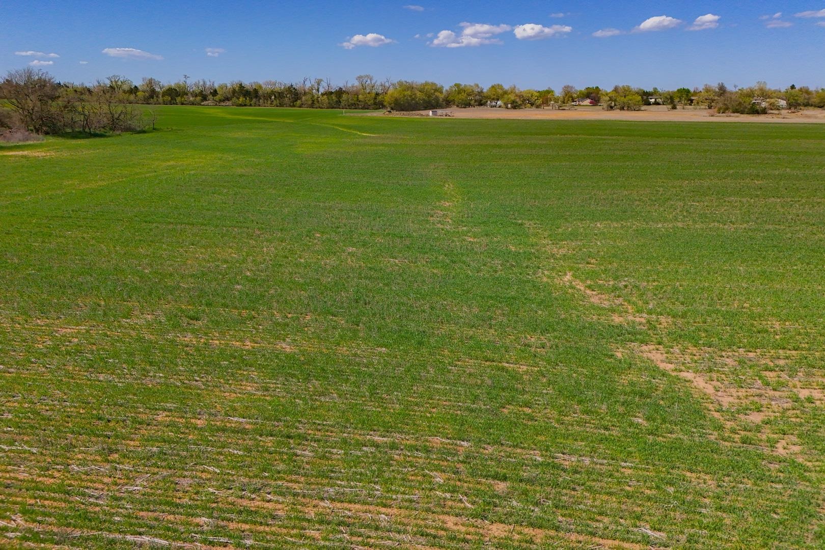 0000 N Ryan Rd, Conway Springs, Kansas image 12