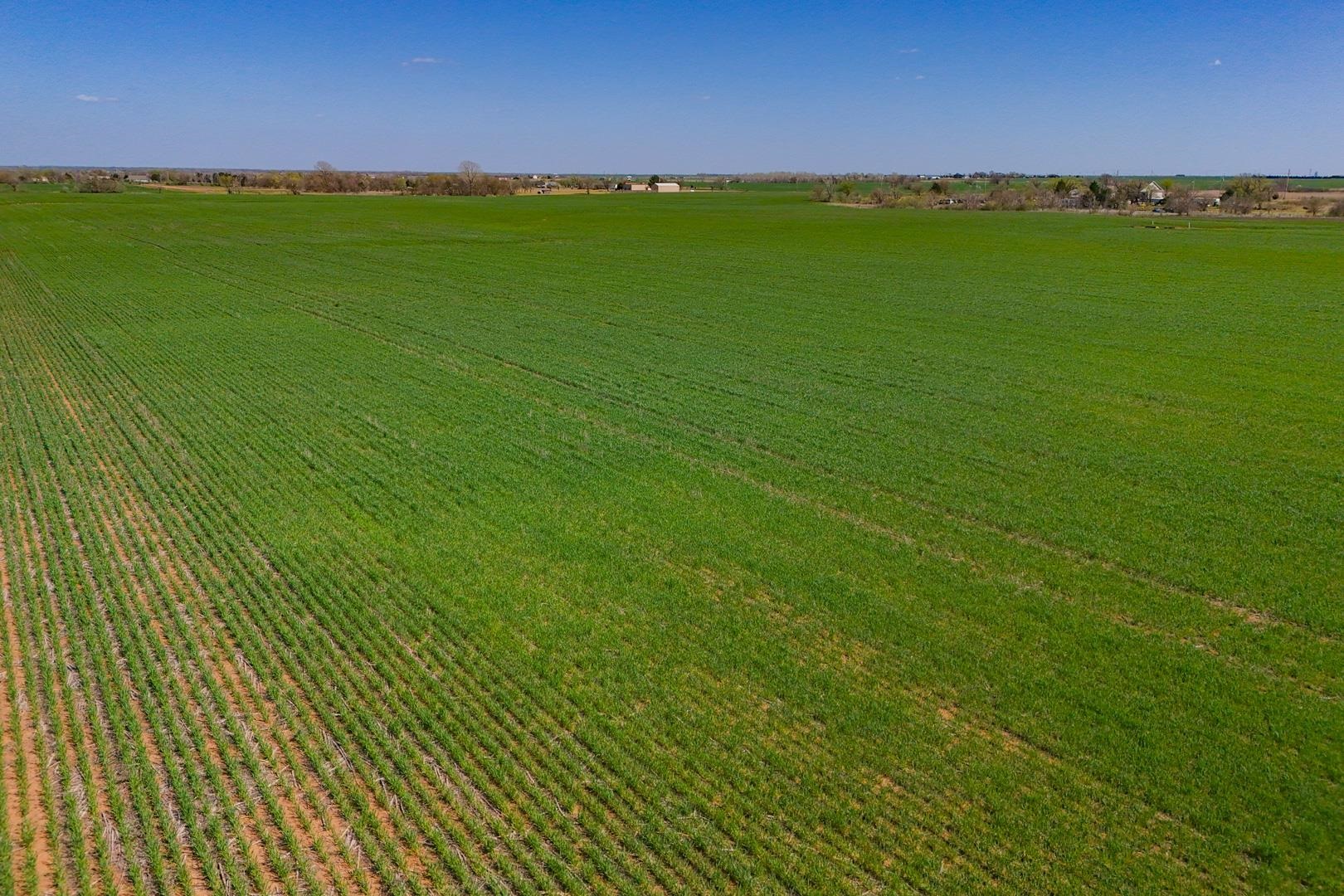 0000 N Ryan Rd, Conway Springs, Kansas image 10