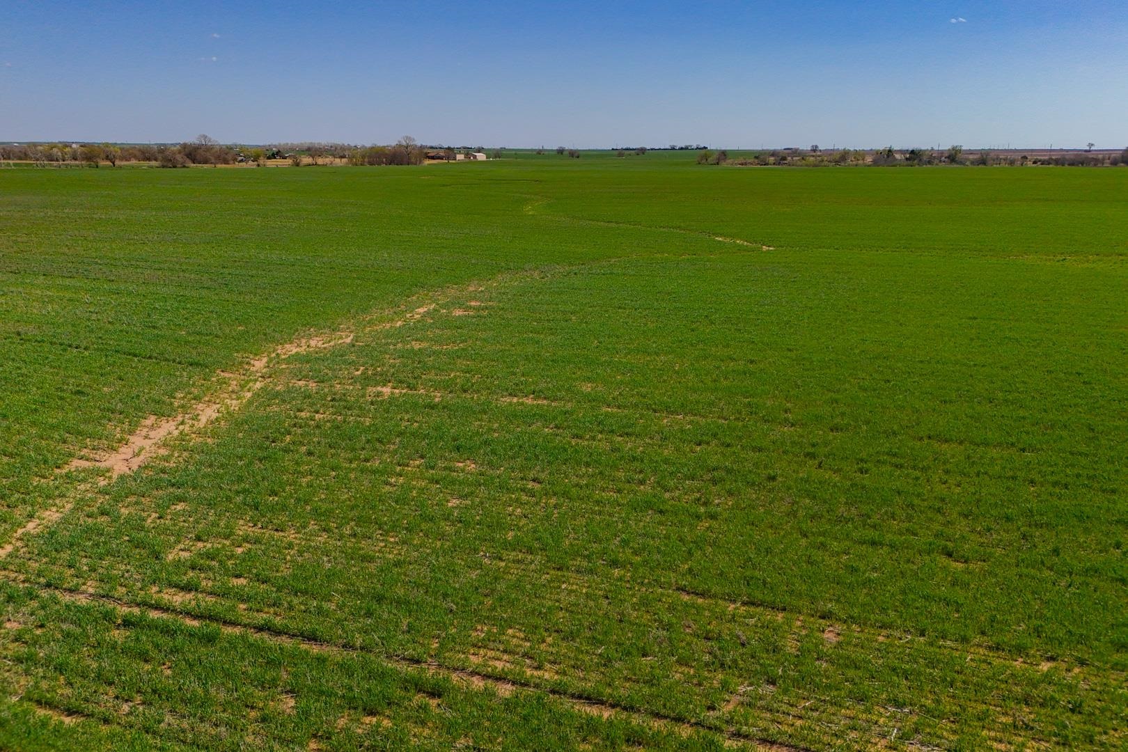 0000 N Ryan Rd, Conway Springs, Kansas image 14
