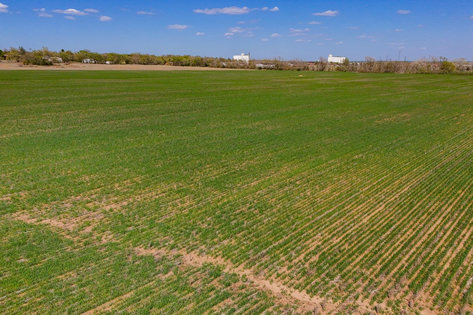 0000 N Ryan Rd, Conway Springs, Kansas image 13
