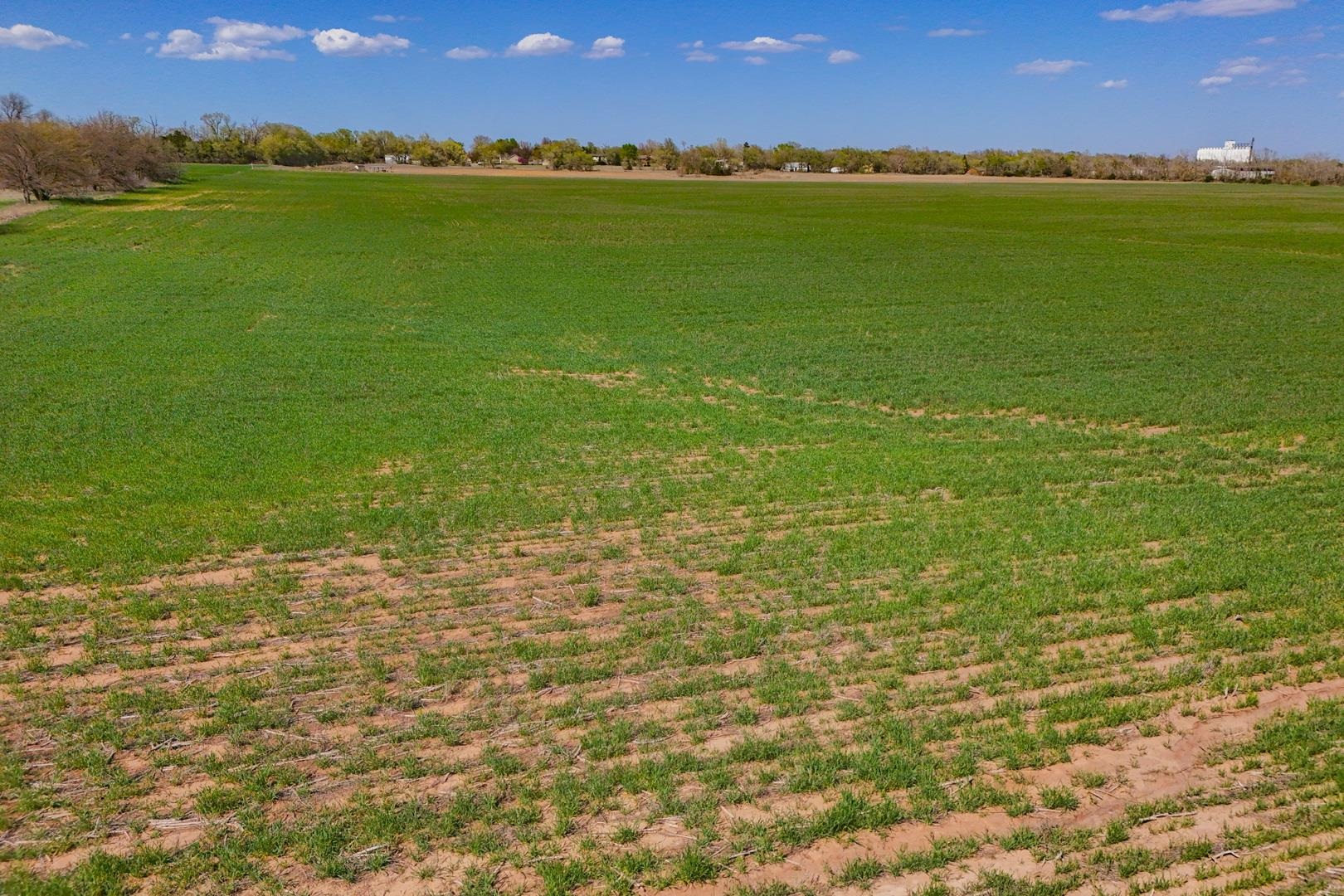 0000 N Ryan Rd, Conway Springs, Kansas image 11