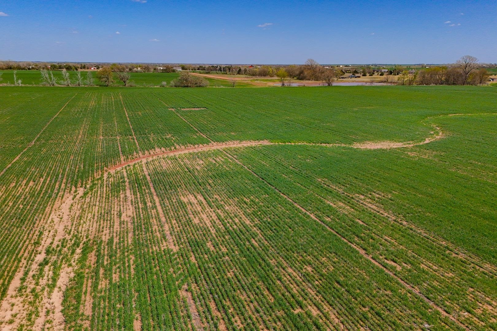 0000 N Ryan Rd, Conway Springs, Kansas image 17