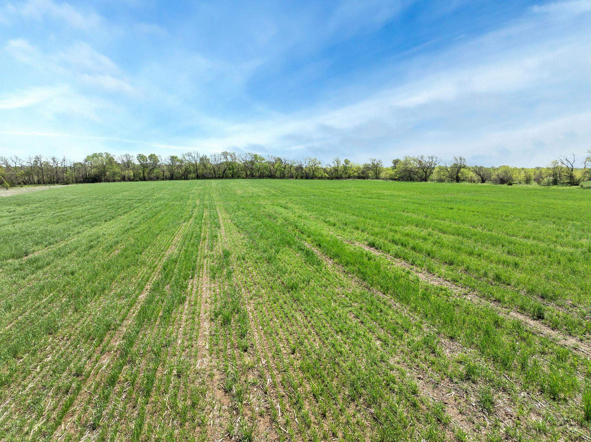 E Of SW 160th St & 159th St E - Tract 4, Rose Hill, Kansas image 7