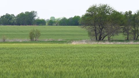 Vacant Land For Sale - LOT 9 BLOCK 3 Dry Creek Estates<br/> Sedgwick County, Goddard, KS 67052