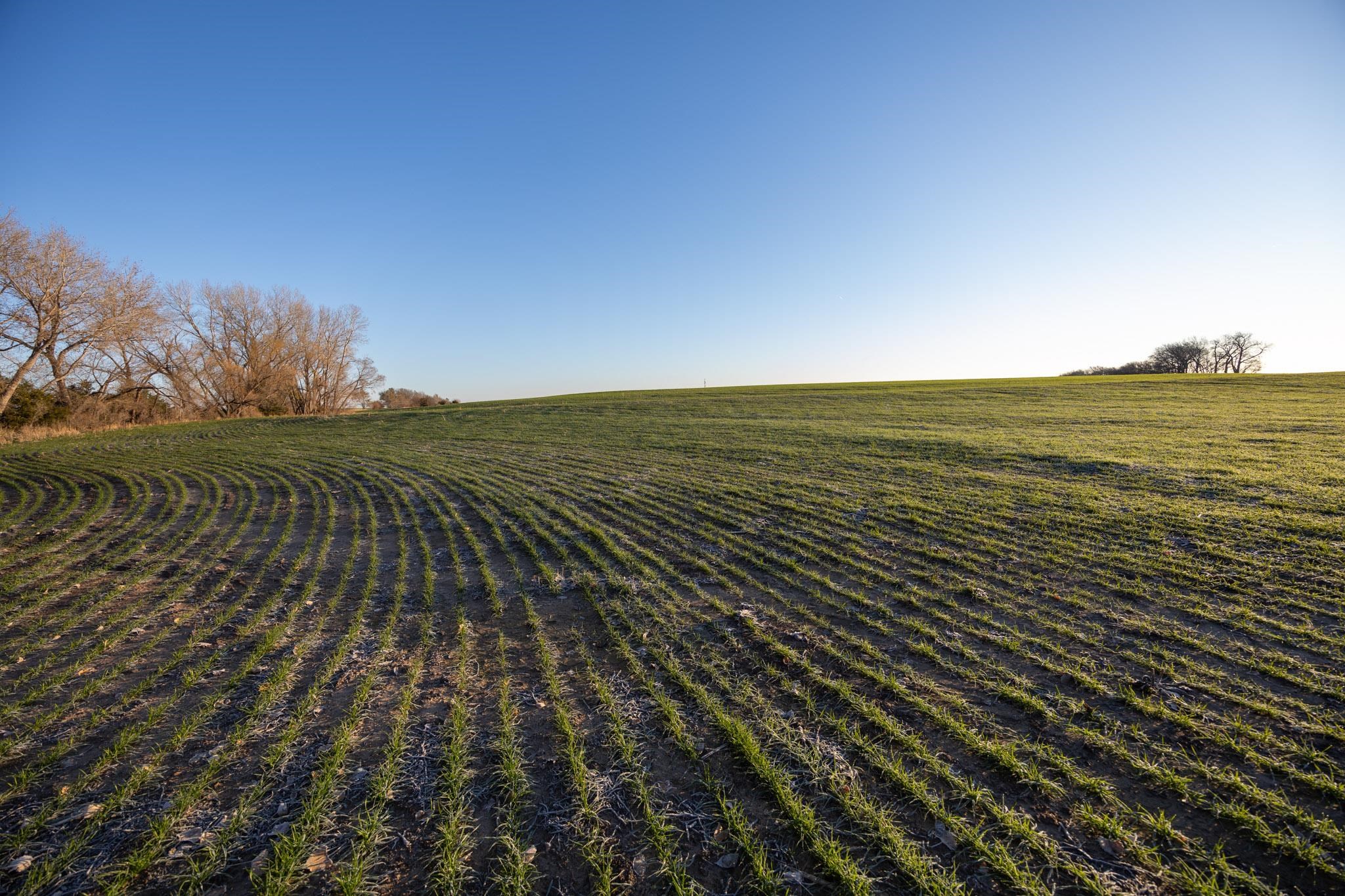 0000 N Halstead Rd, Salina, Kansas image 30