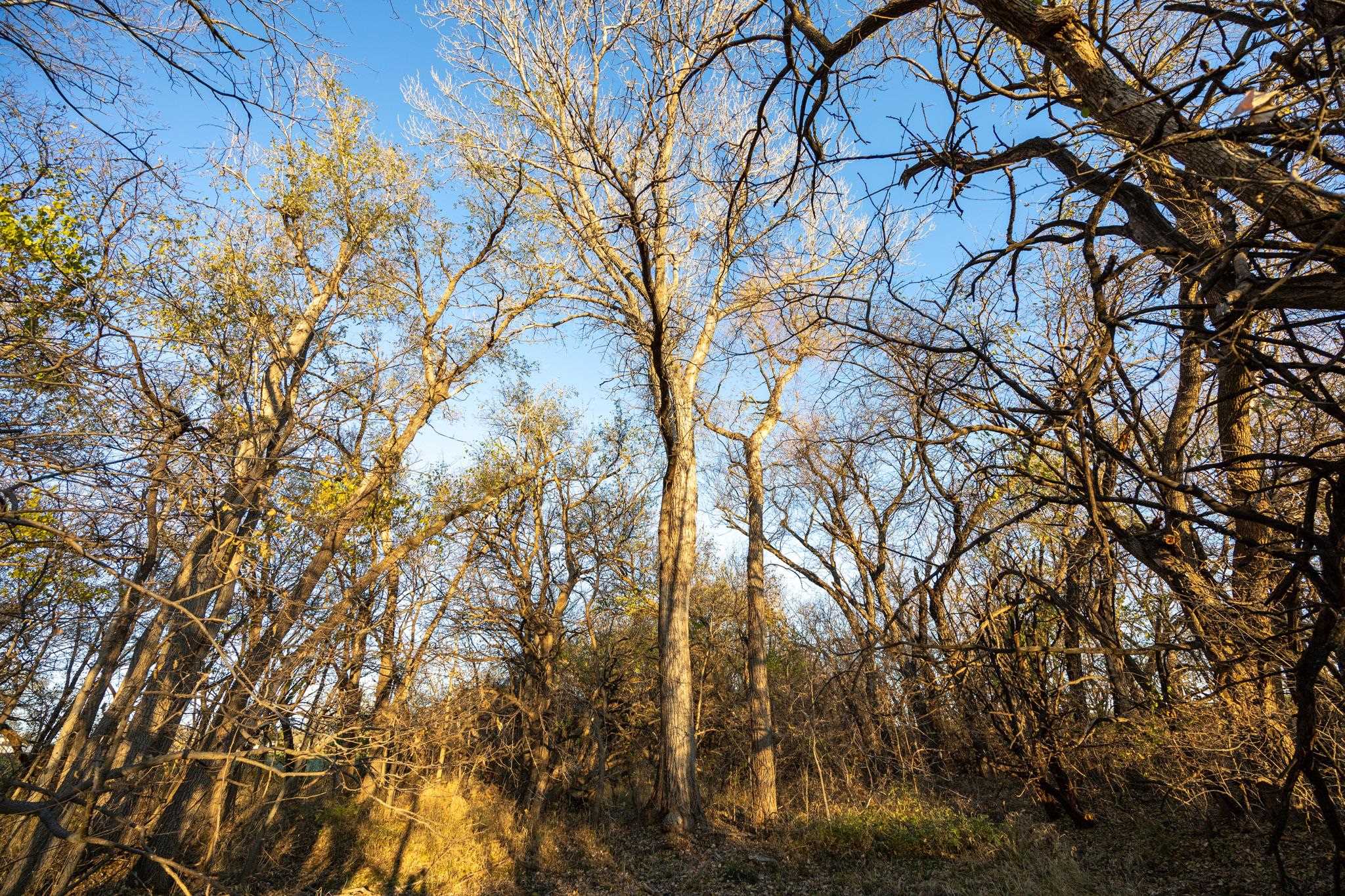 0000 N Halstead Rd, Salina, Kansas image 32