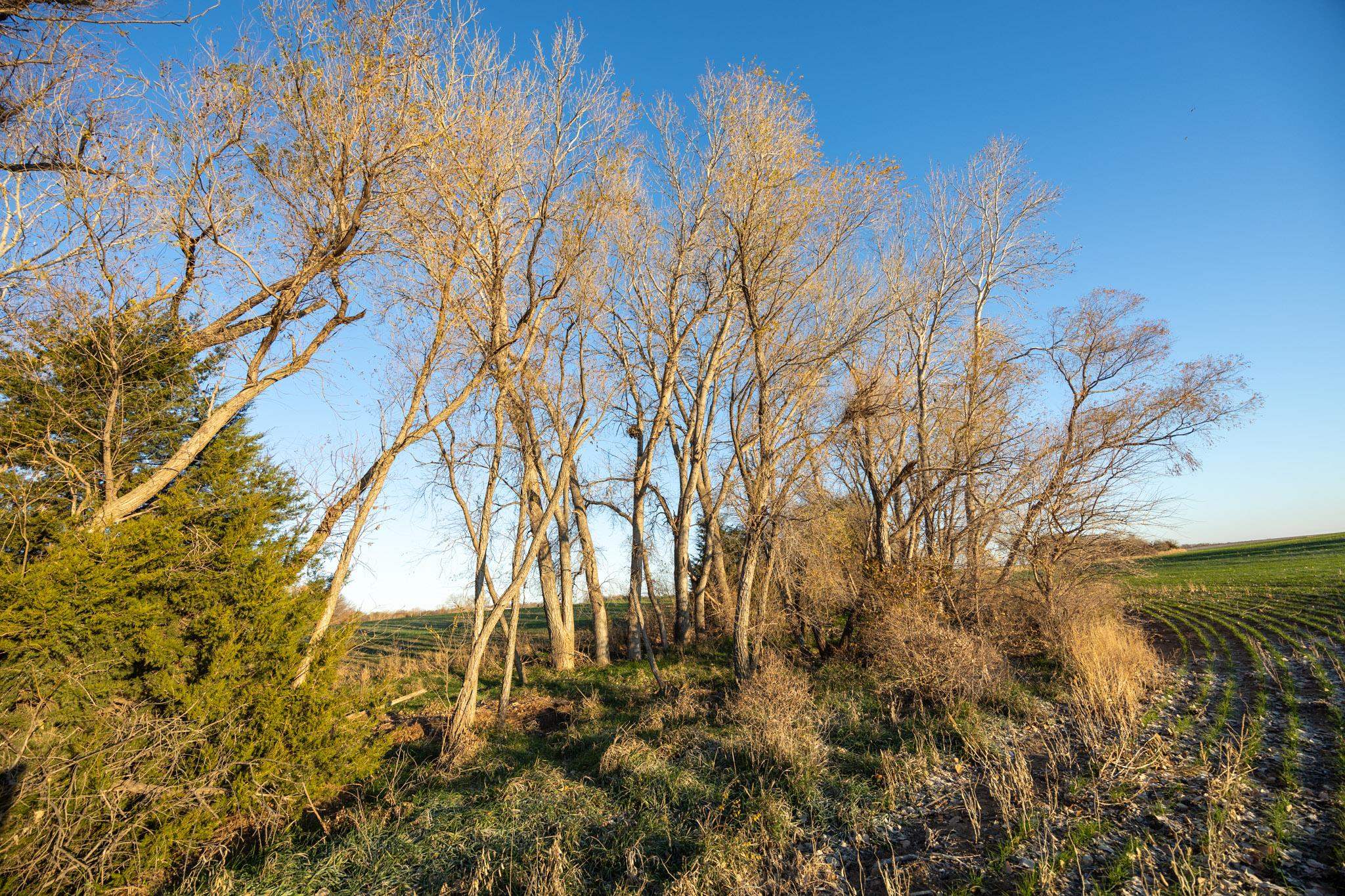 0000 N Halstead Rd, Salina, Kansas image 31