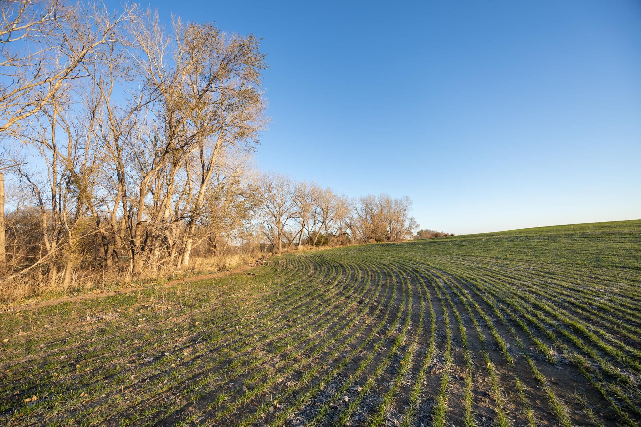 0000 N Halstead Rd, Salina, Kansas image 29