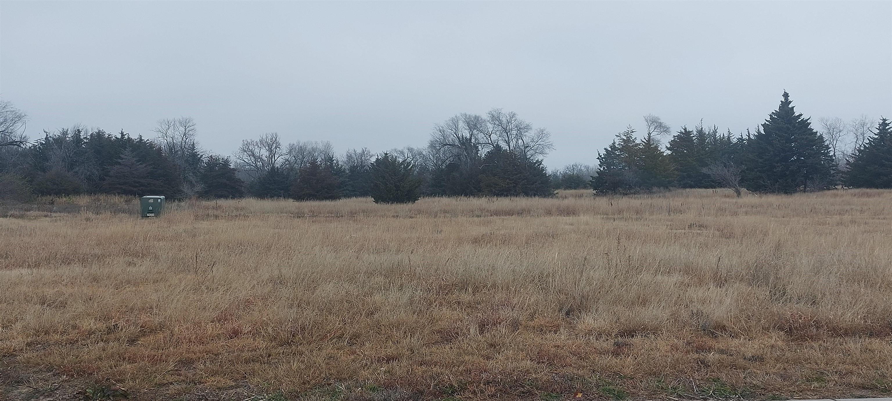 Lot 6 Block F Monarch Meadows 2nd Addition, Hutchinson, Kansas image 1