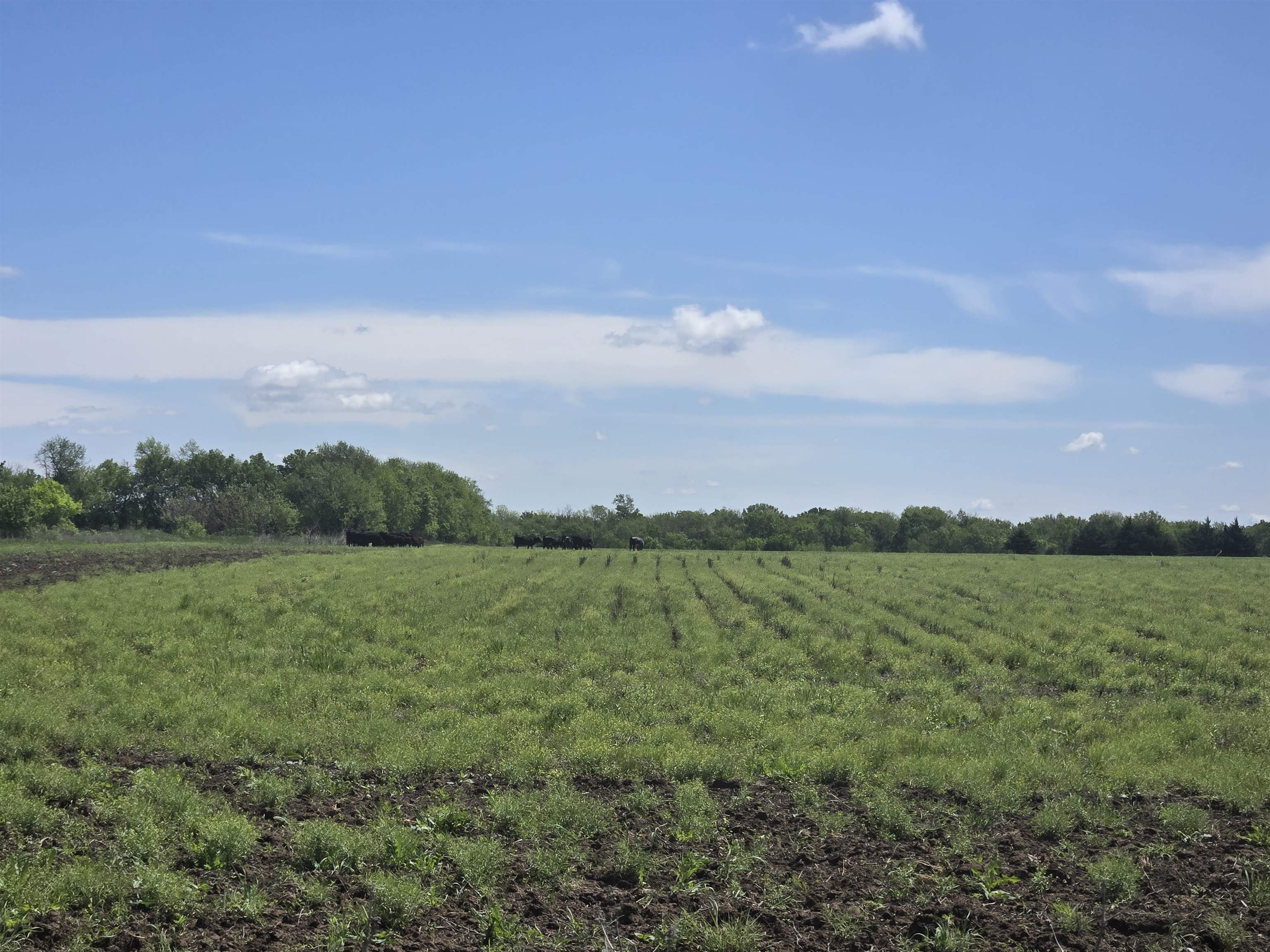 0000 NW Parallel St, Benton, Kansas image 9