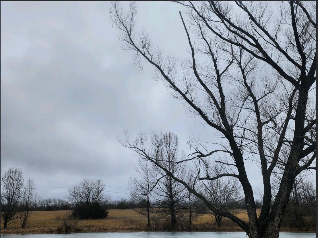 Andover, Kansas 67002, United States, ,Land,Pending,66023