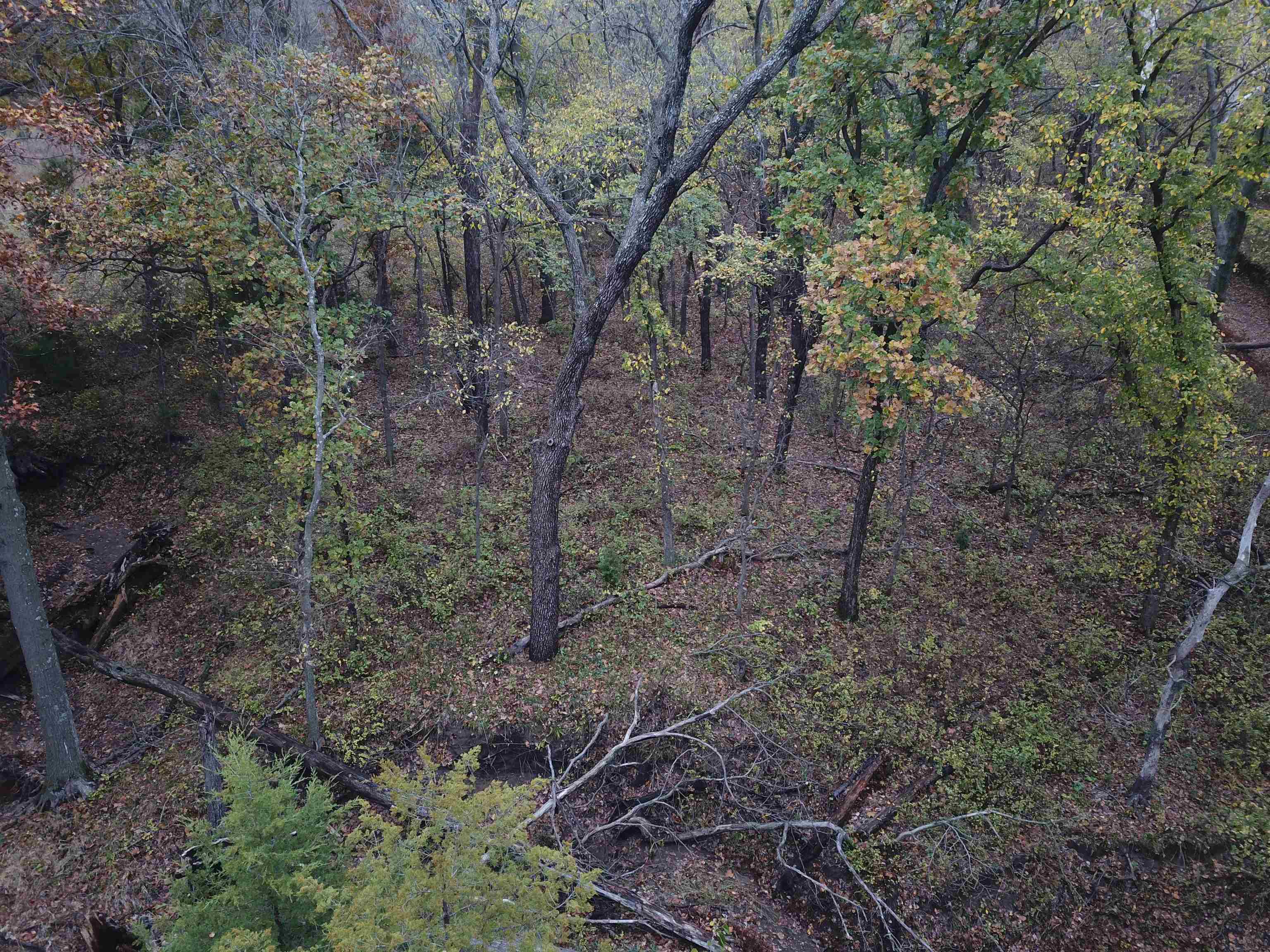 1987 380th St, Madison, Kansas image 13