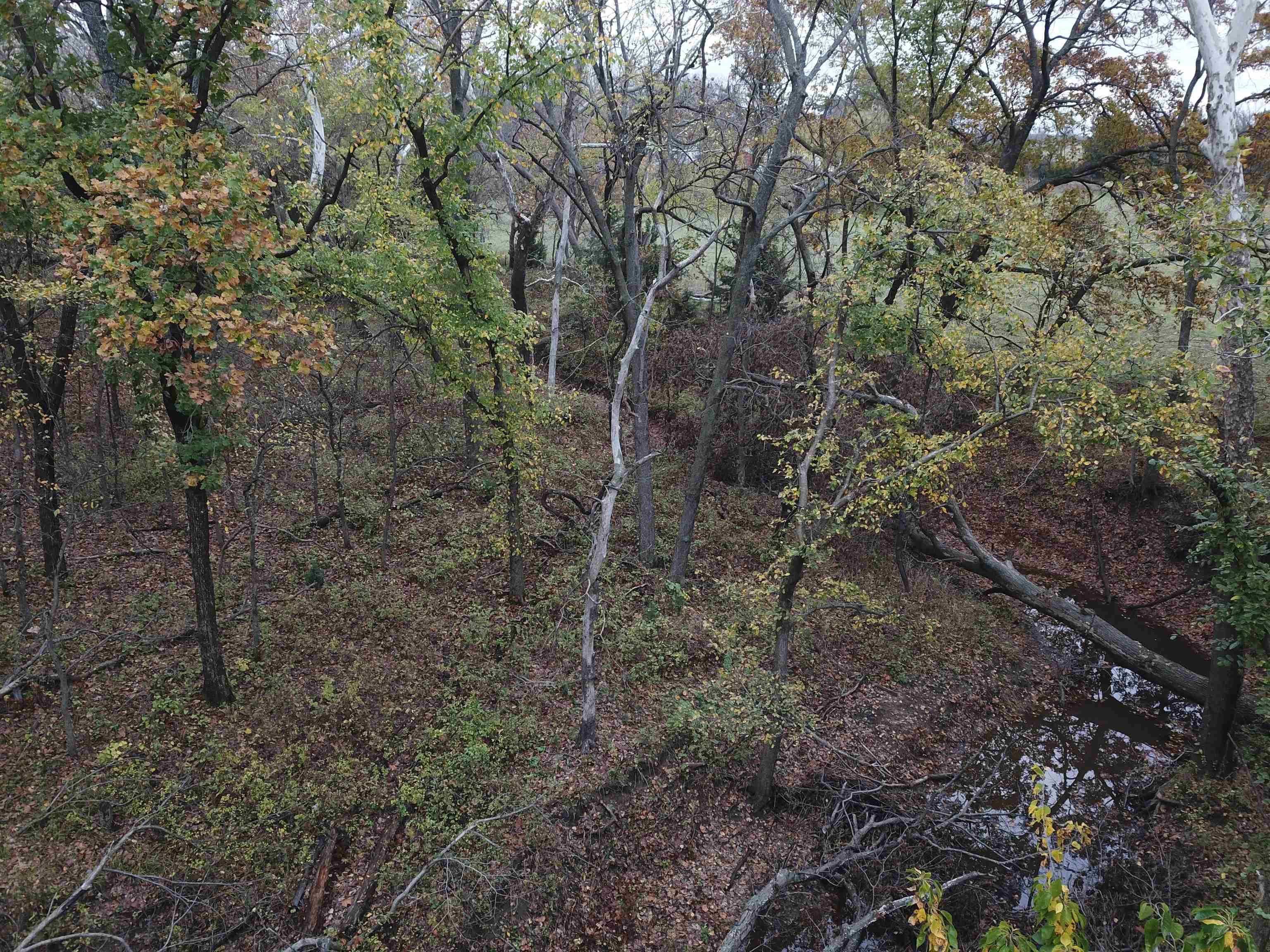 1987 380th St, Madison, Kansas image 25