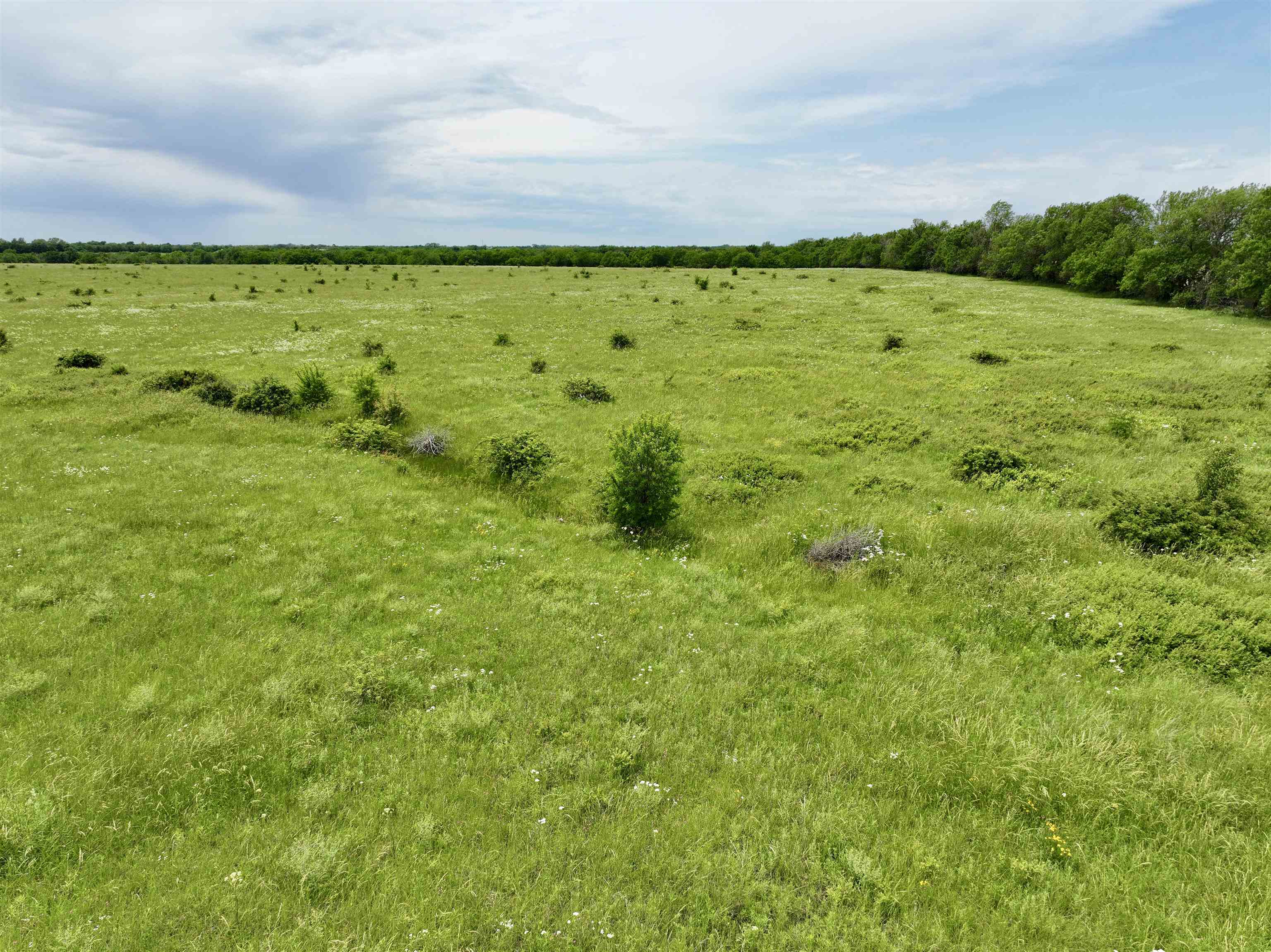 000 N Santa Fe Lake Rd, Towanda, Kansas image 7