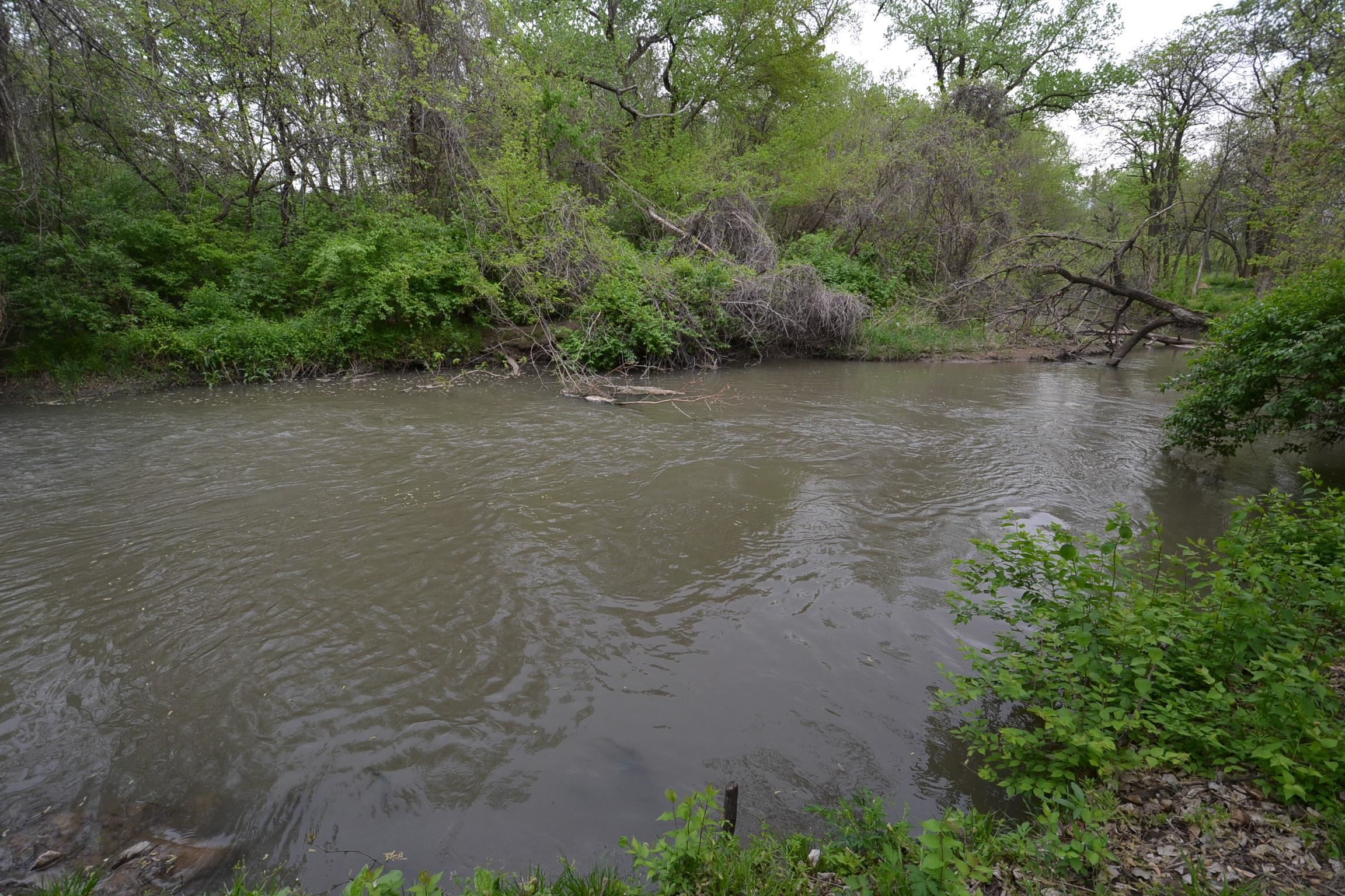 316 E Timber Creek, Haysville, Kansas image 29