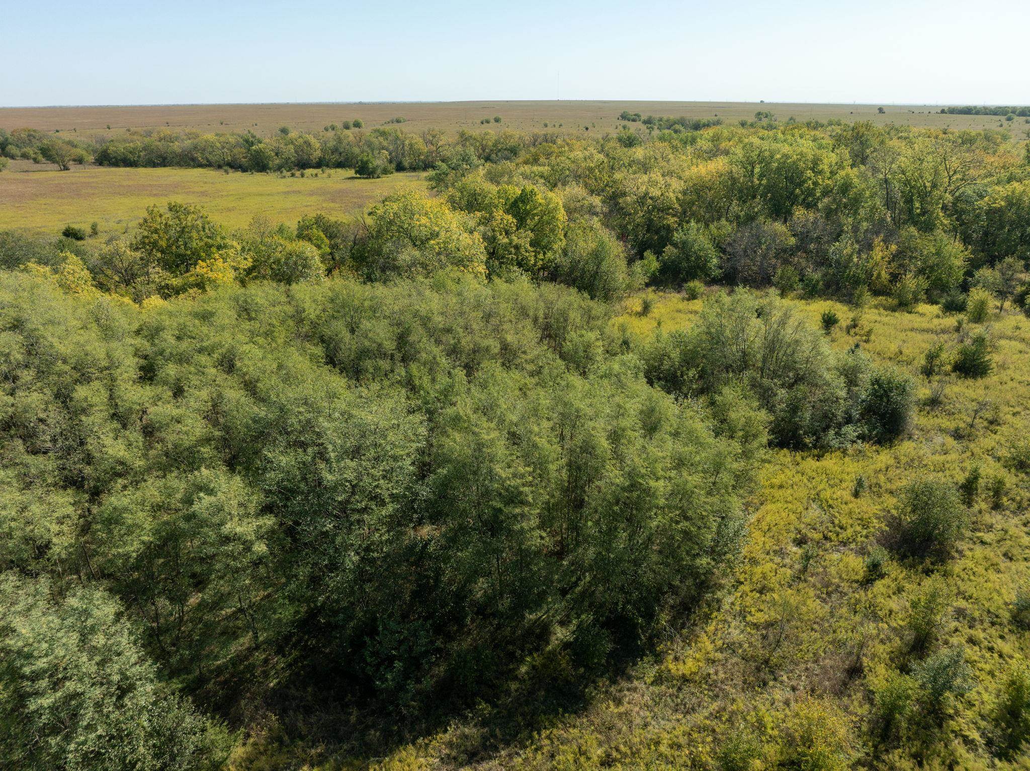 NW 90th St, El Dorado, Kansas image 16