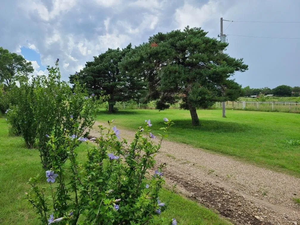 Winfield, Kansas 67156, United States, 2 Bedrooms Bedrooms, ,2 BathroomsBathrooms,Residential,Active,166723