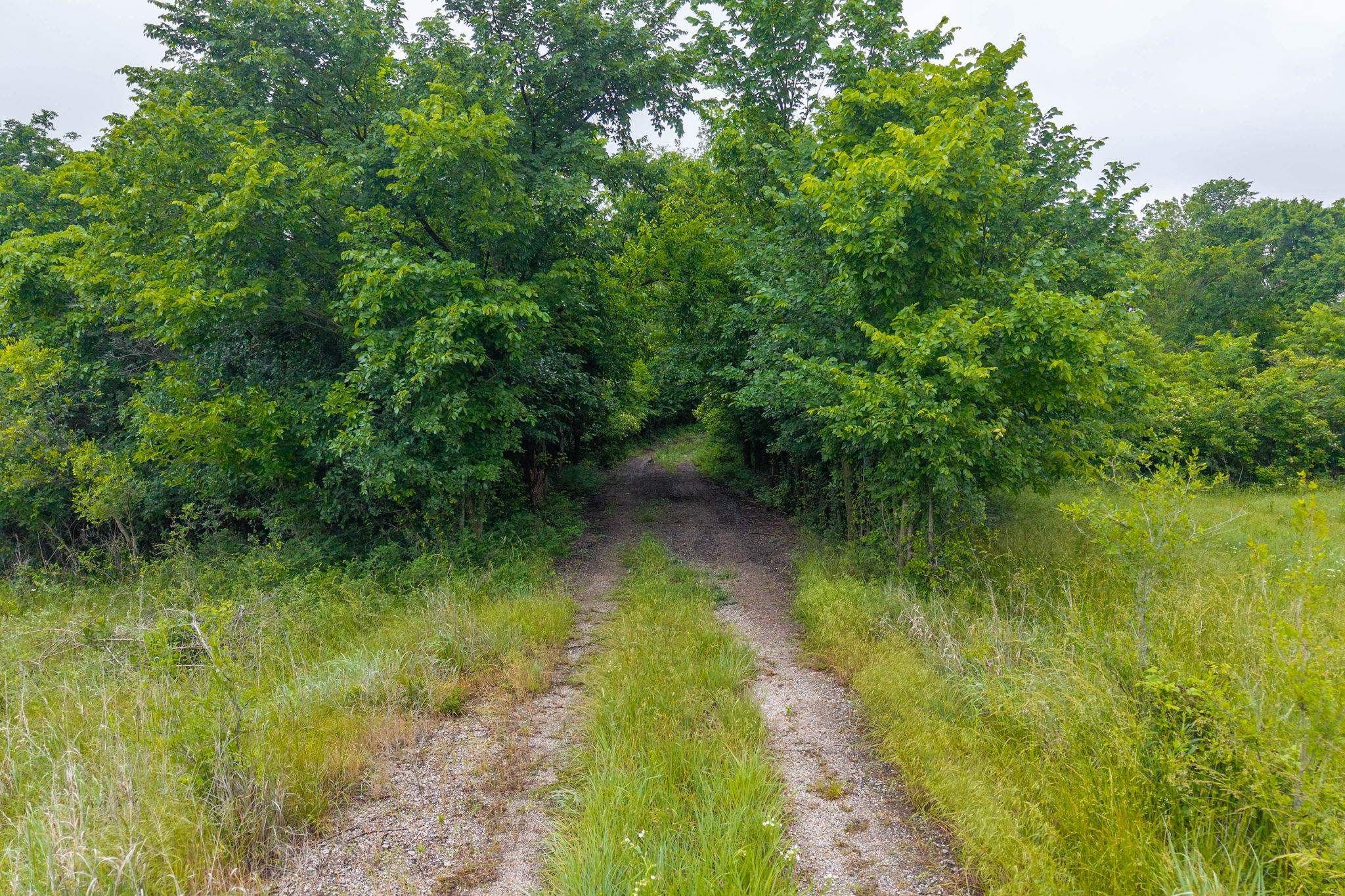 15321 E 87th Cir Ct S, Derby, Kansas image 6
