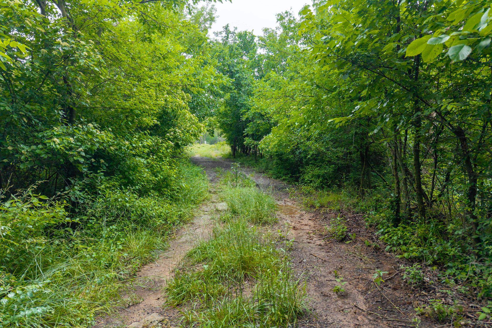 15321 E 87th Cir Ct S, Derby, Kansas image 7