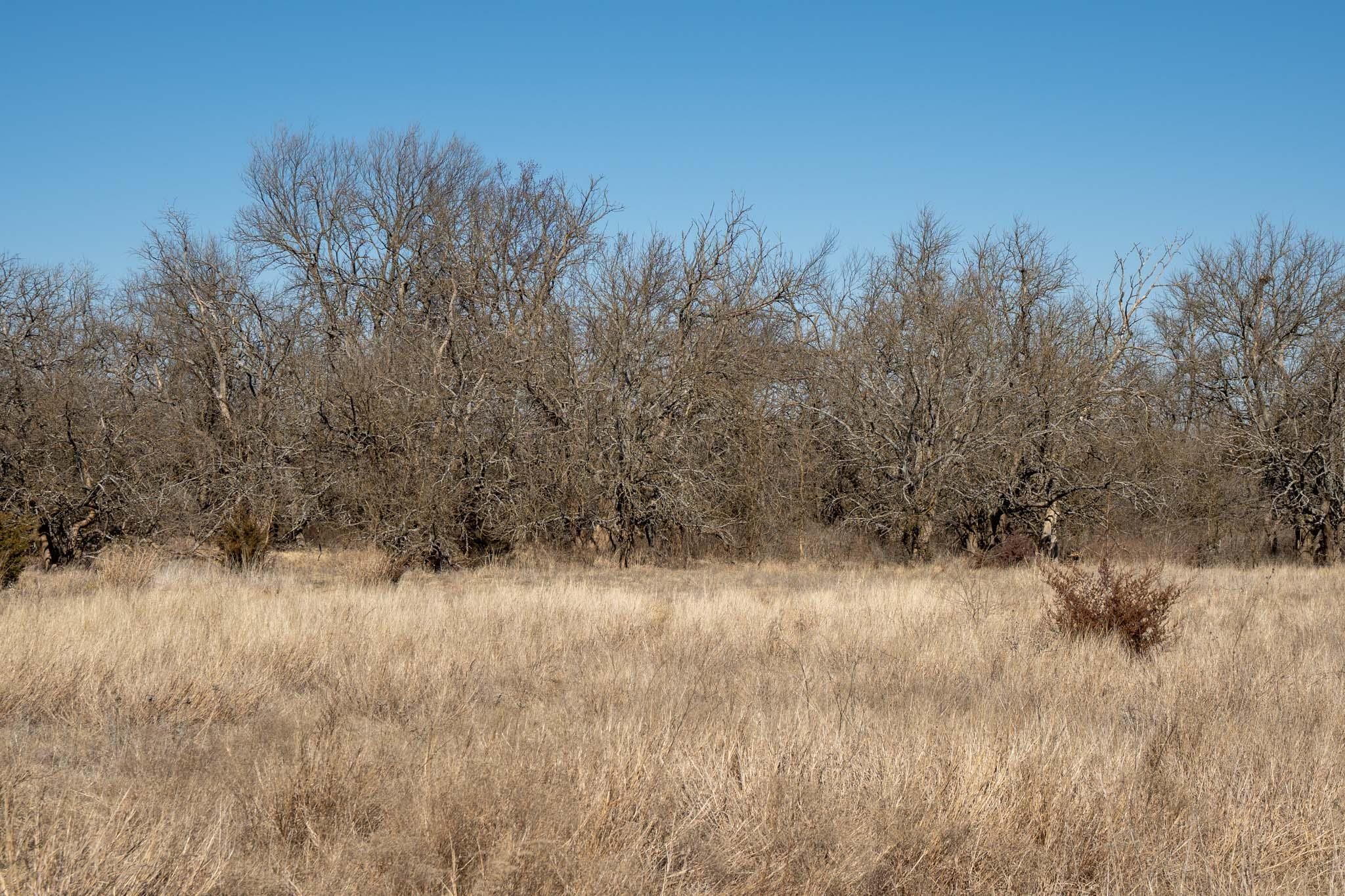 6446 SE Bluestem Rd, Leon, Kansas image 17