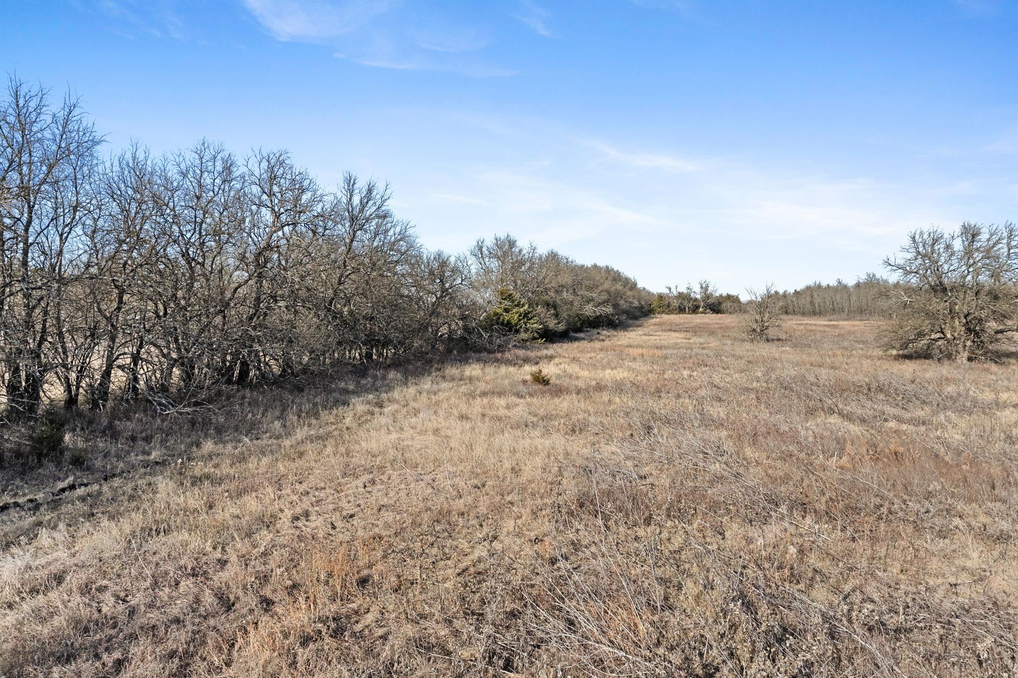 000 SE 90th, Leon, Kansas image 5