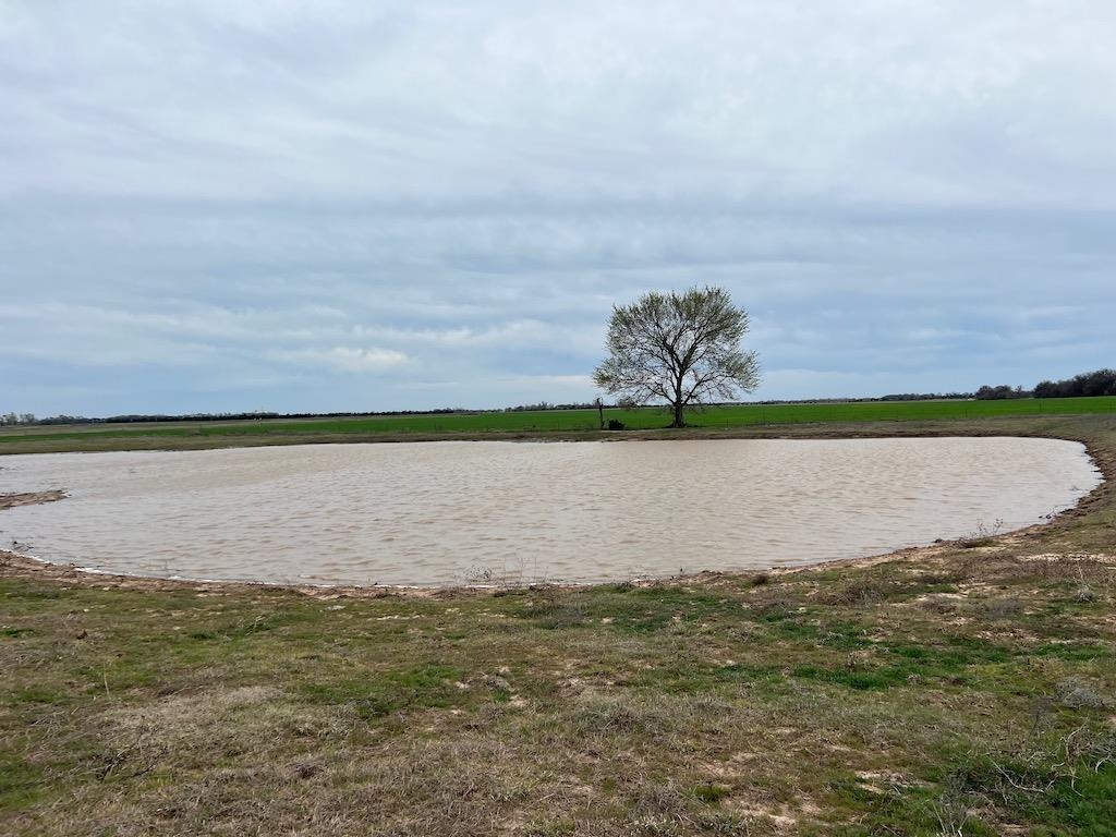 379 N Blackstone Rd, Argonia, Kansas image 28