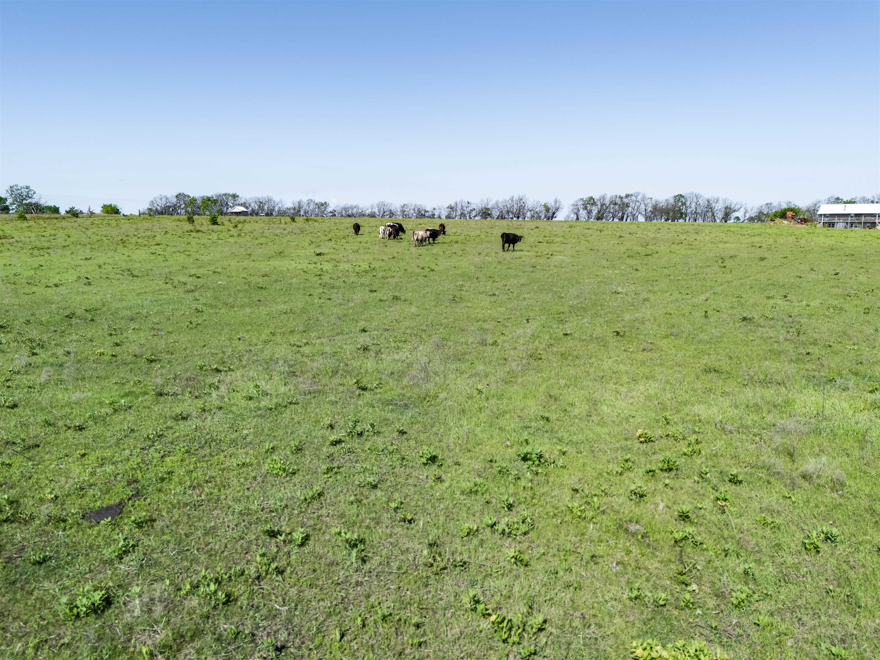 0000 M Road, Severy, Kansas image 17
