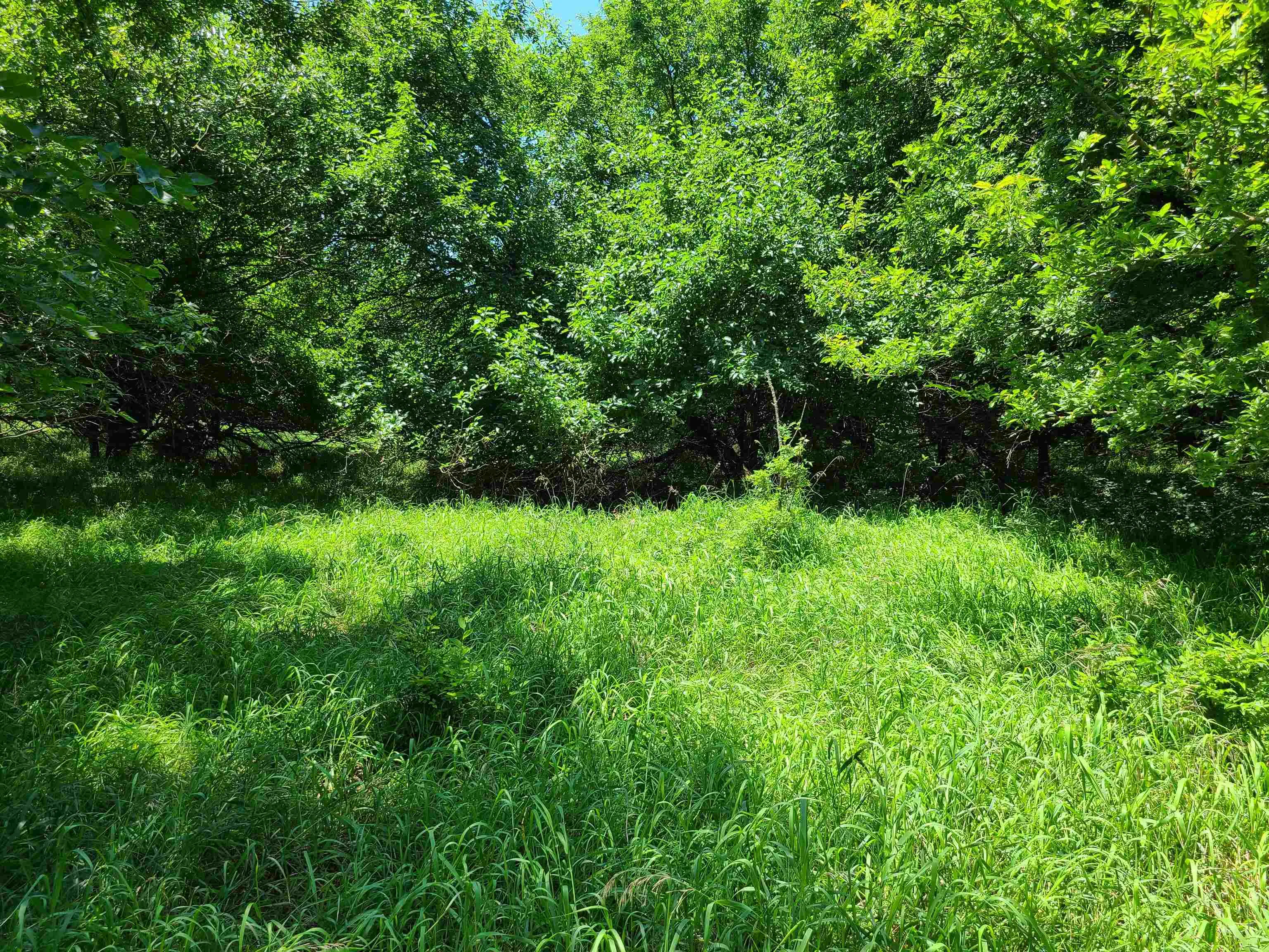 Winfield, Kansas 67156, United States, ,Residential,Pending,195168