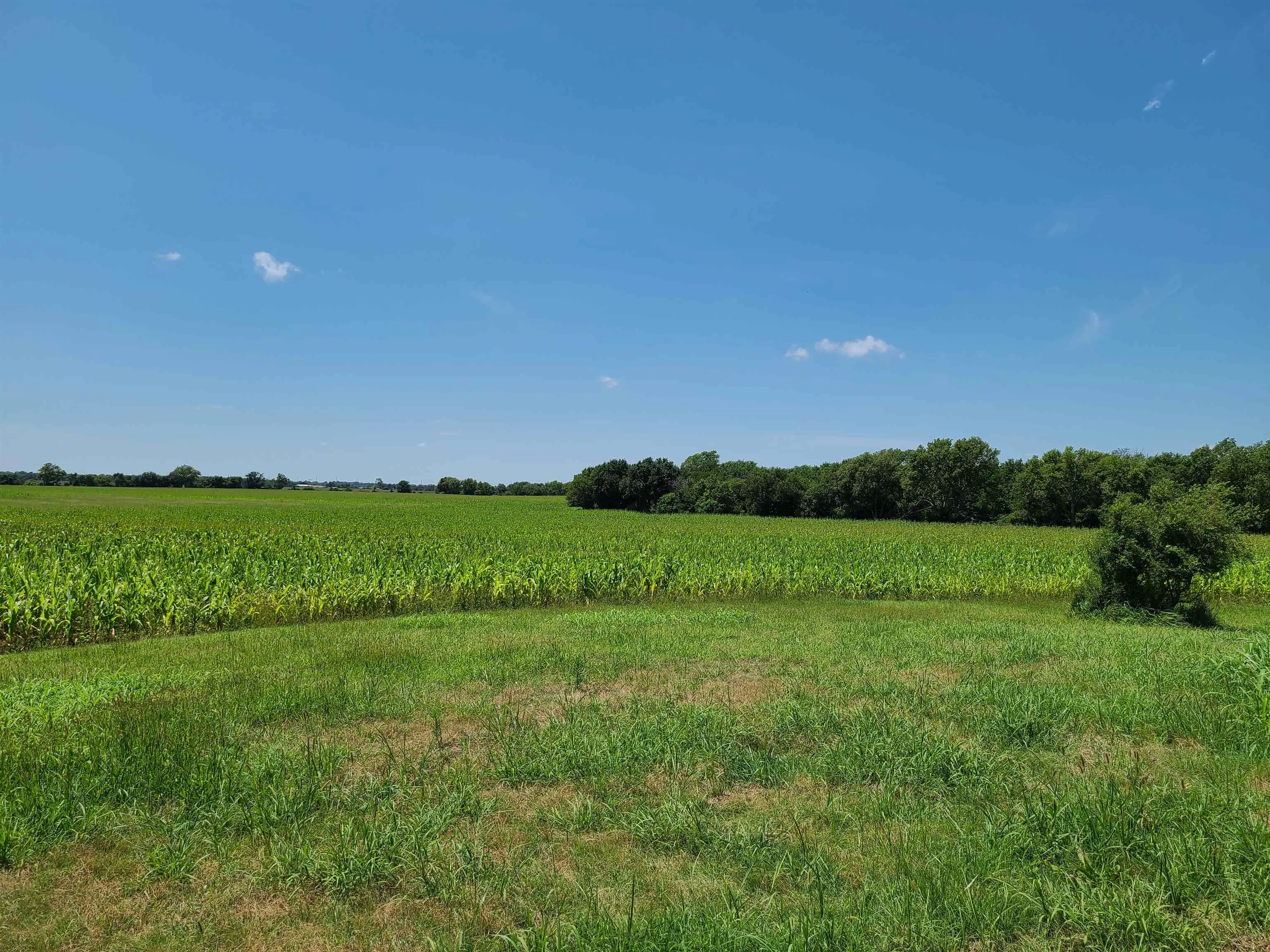 Winfield, Kansas 67156, United States, ,Residential,Pending,195168