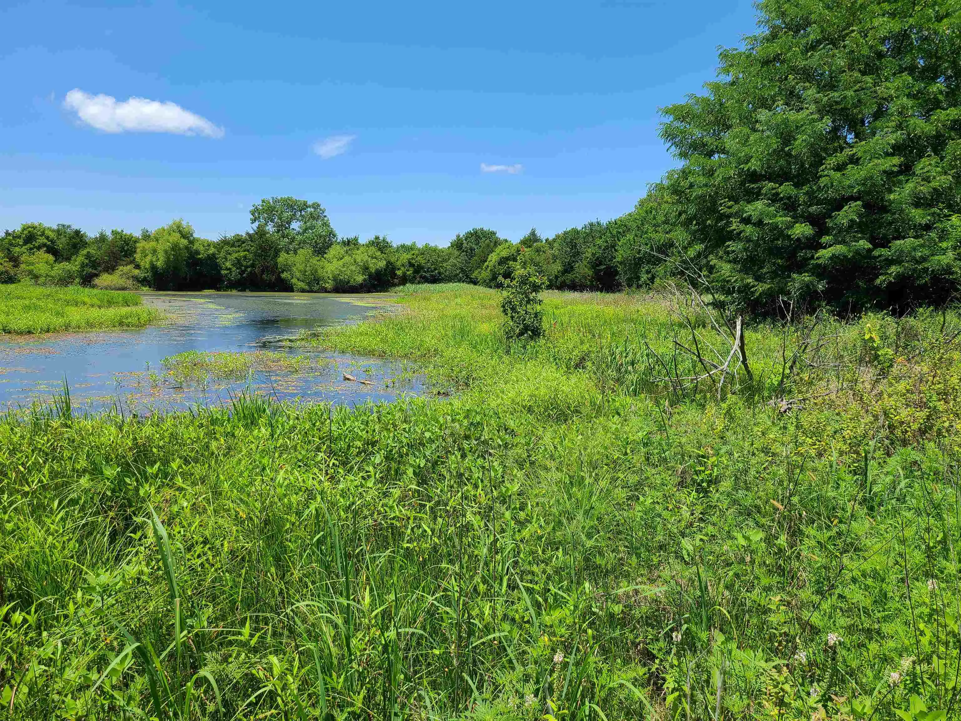 Winfield, Kansas 67156, United States, ,Residential,Pending,195168