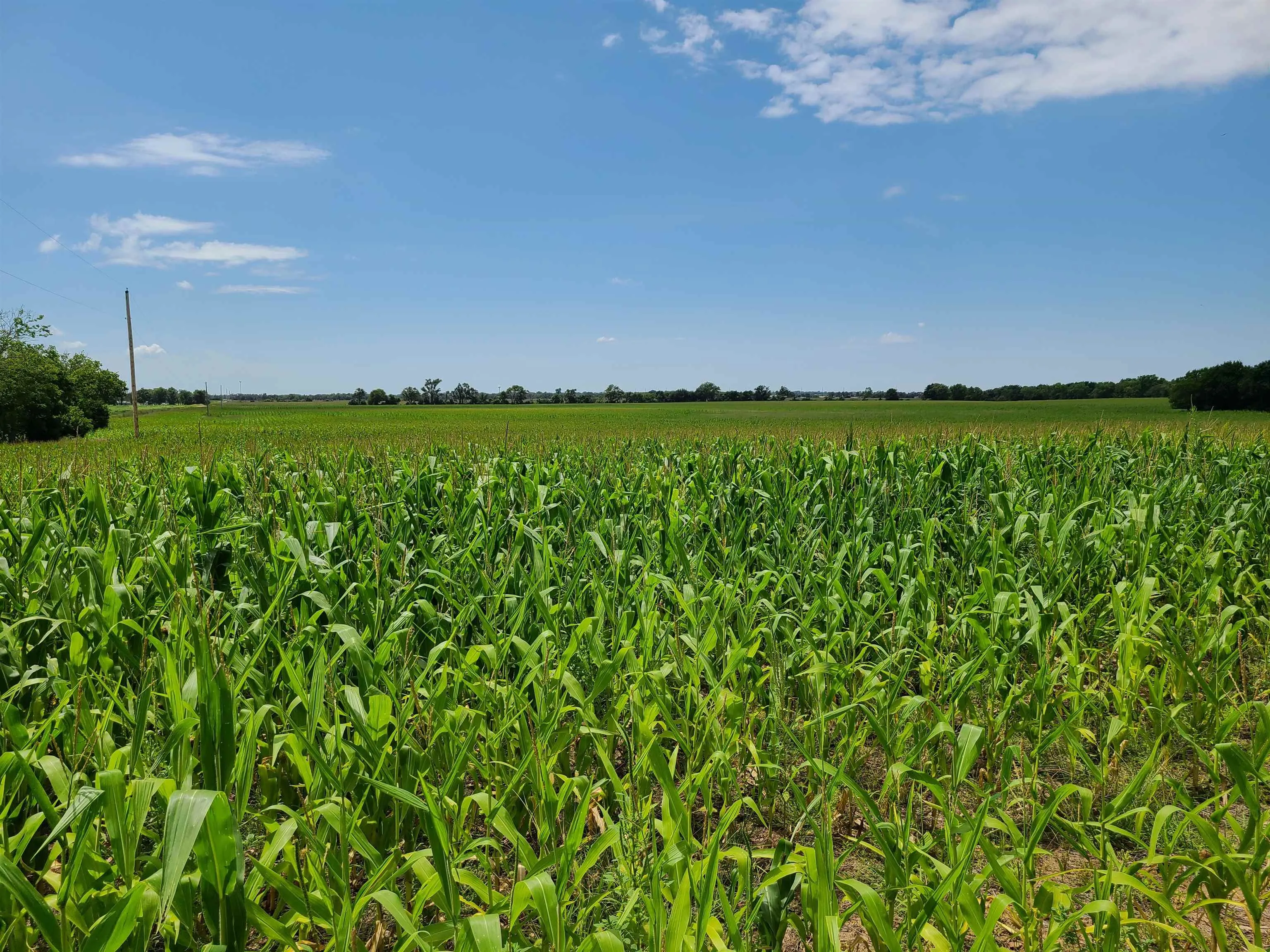 Winfield, Kansas 67156, United States, ,Residential,Pending,195168