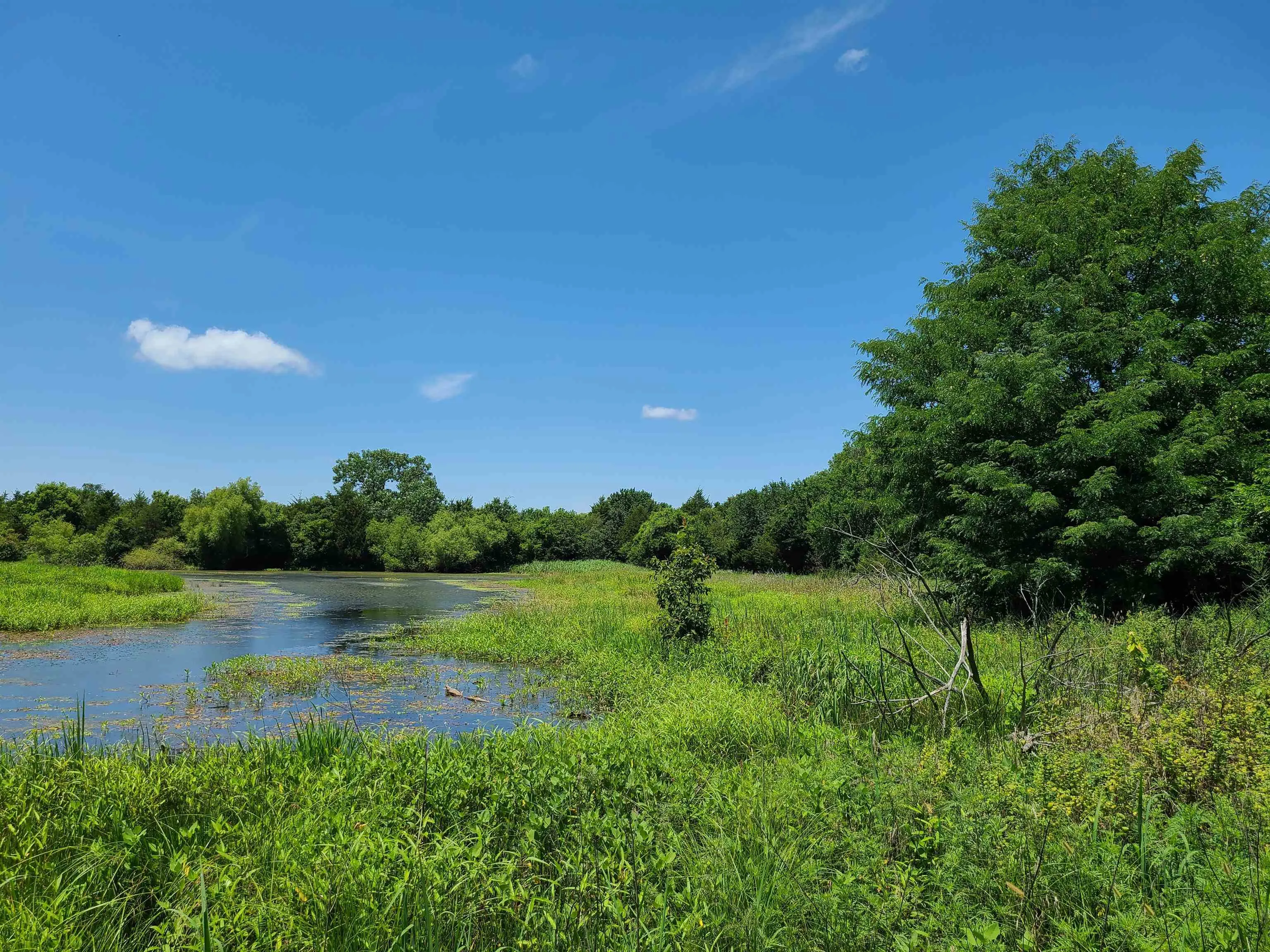 Winfield, Kansas 67156, United States, ,Residential,Pending,195168