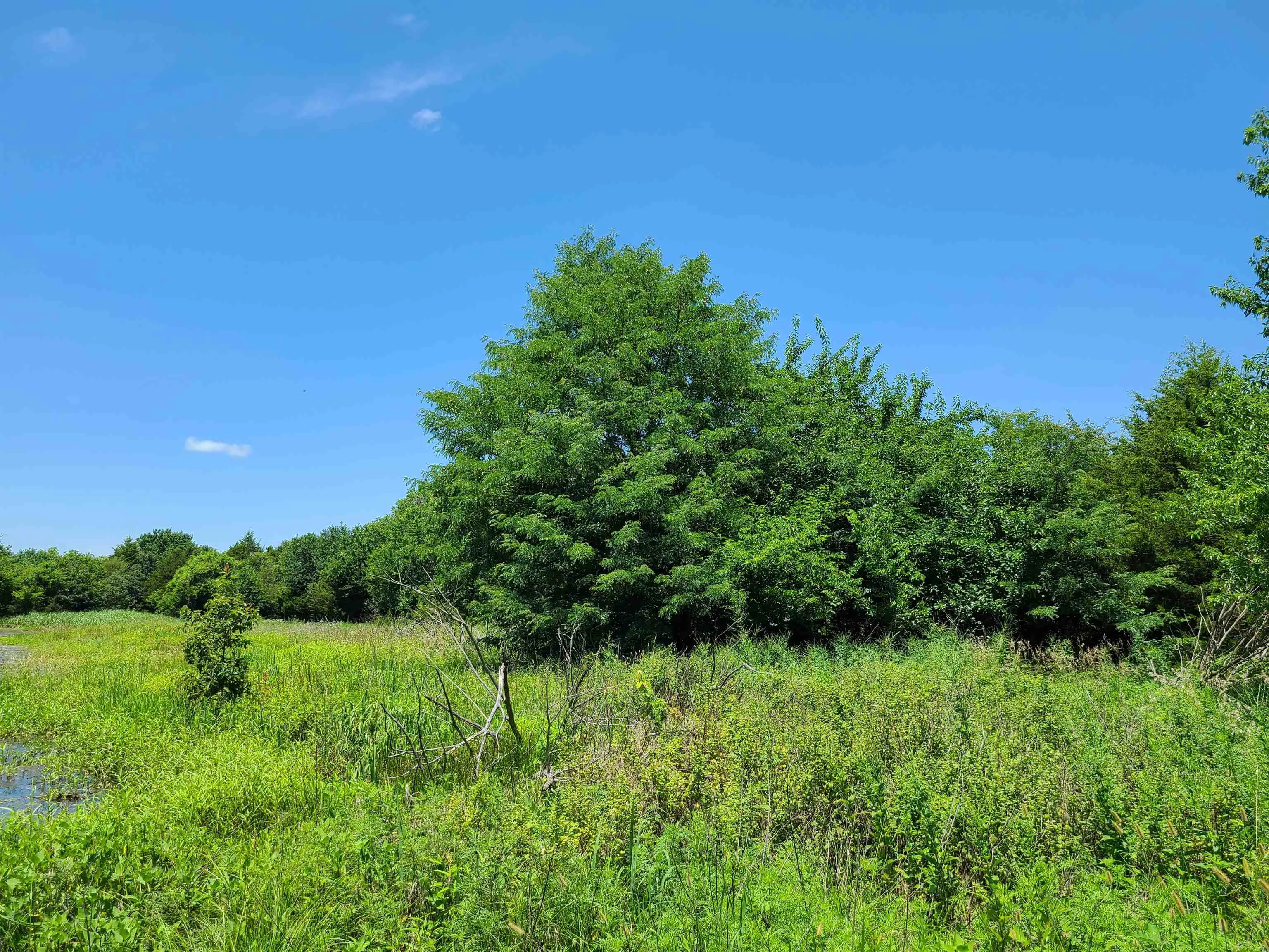 Winfield, Kansas 67156, United States, ,Residential,Pending,195168