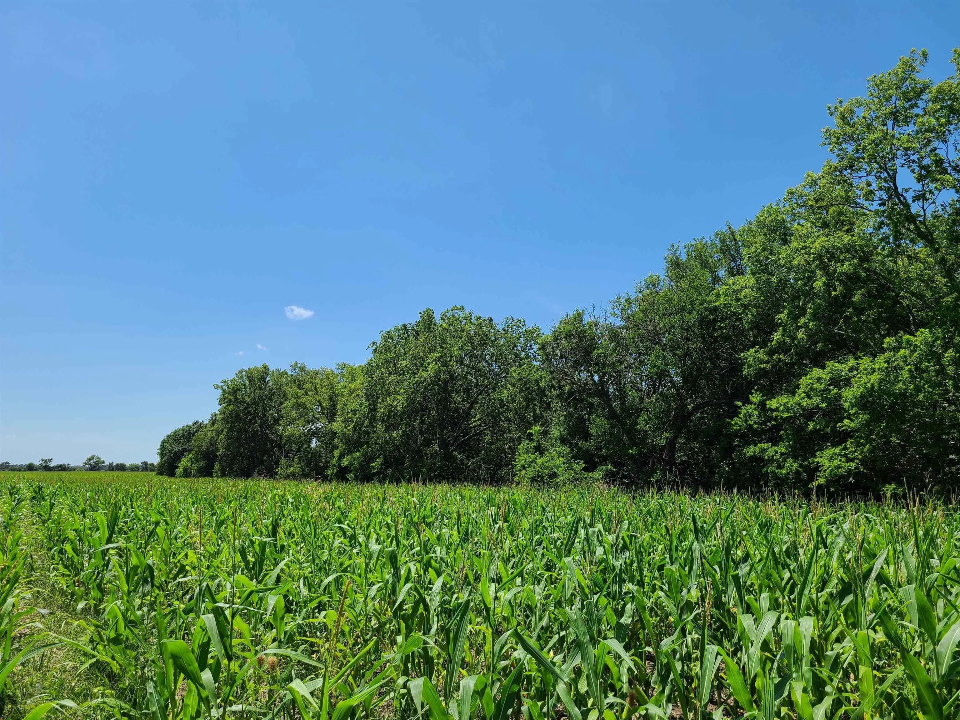 Winfield, Kansas 67156, United States, ,Residential,Pending,195168