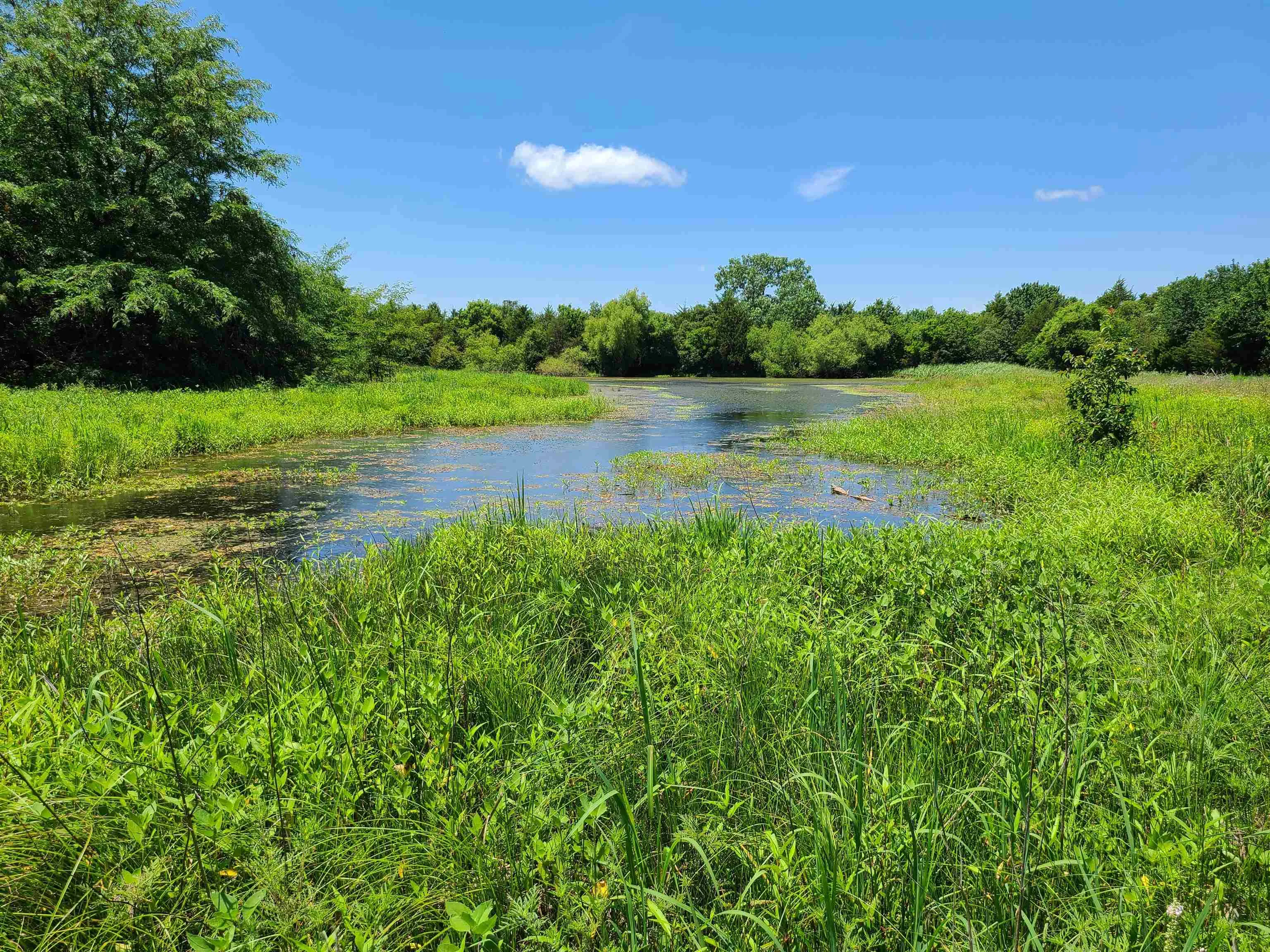 Winfield, Kansas 67156, United States, ,Residential,Pending,195168