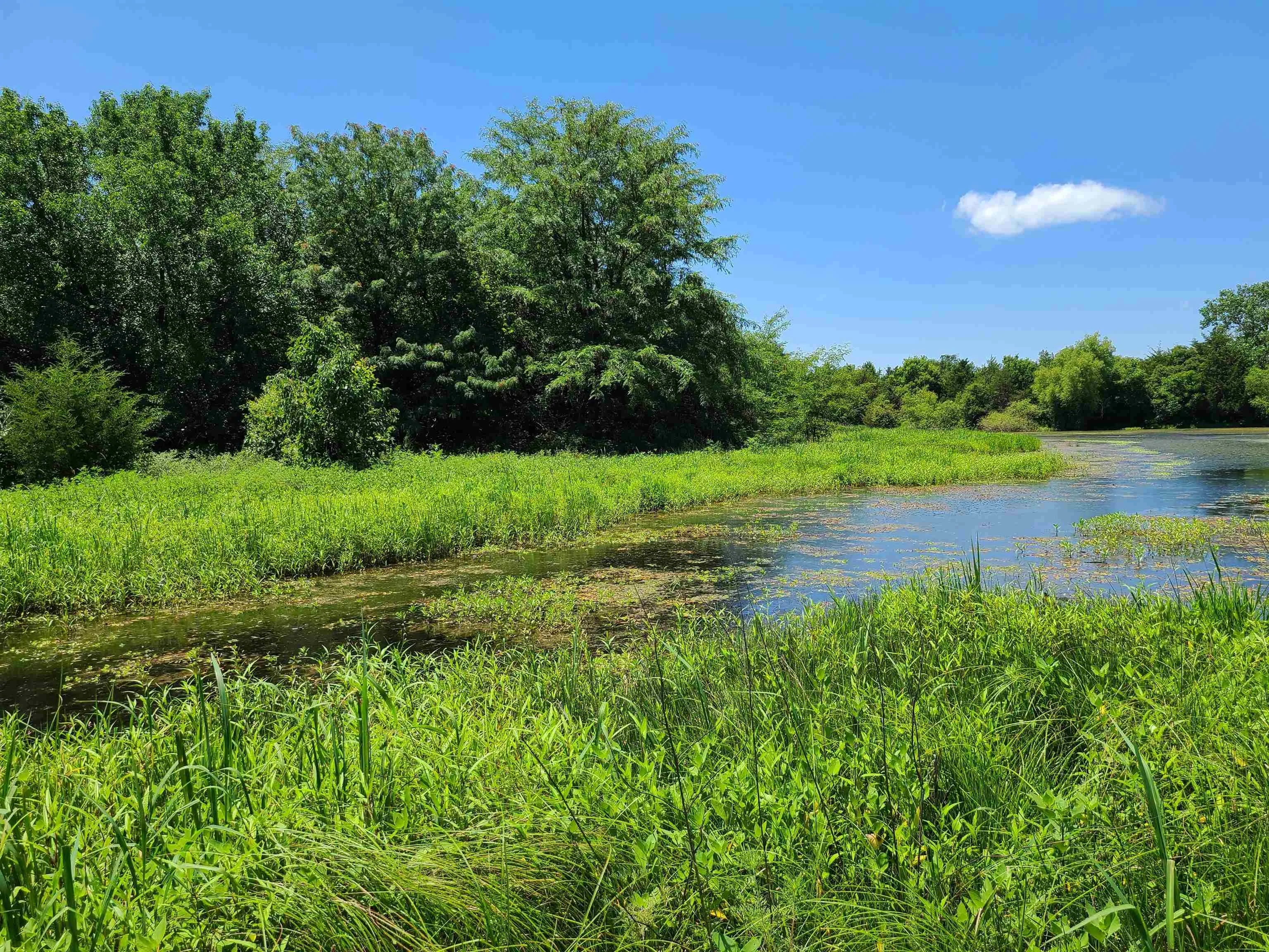 Winfield, Kansas 67156, United States, ,Residential,Pending,195168