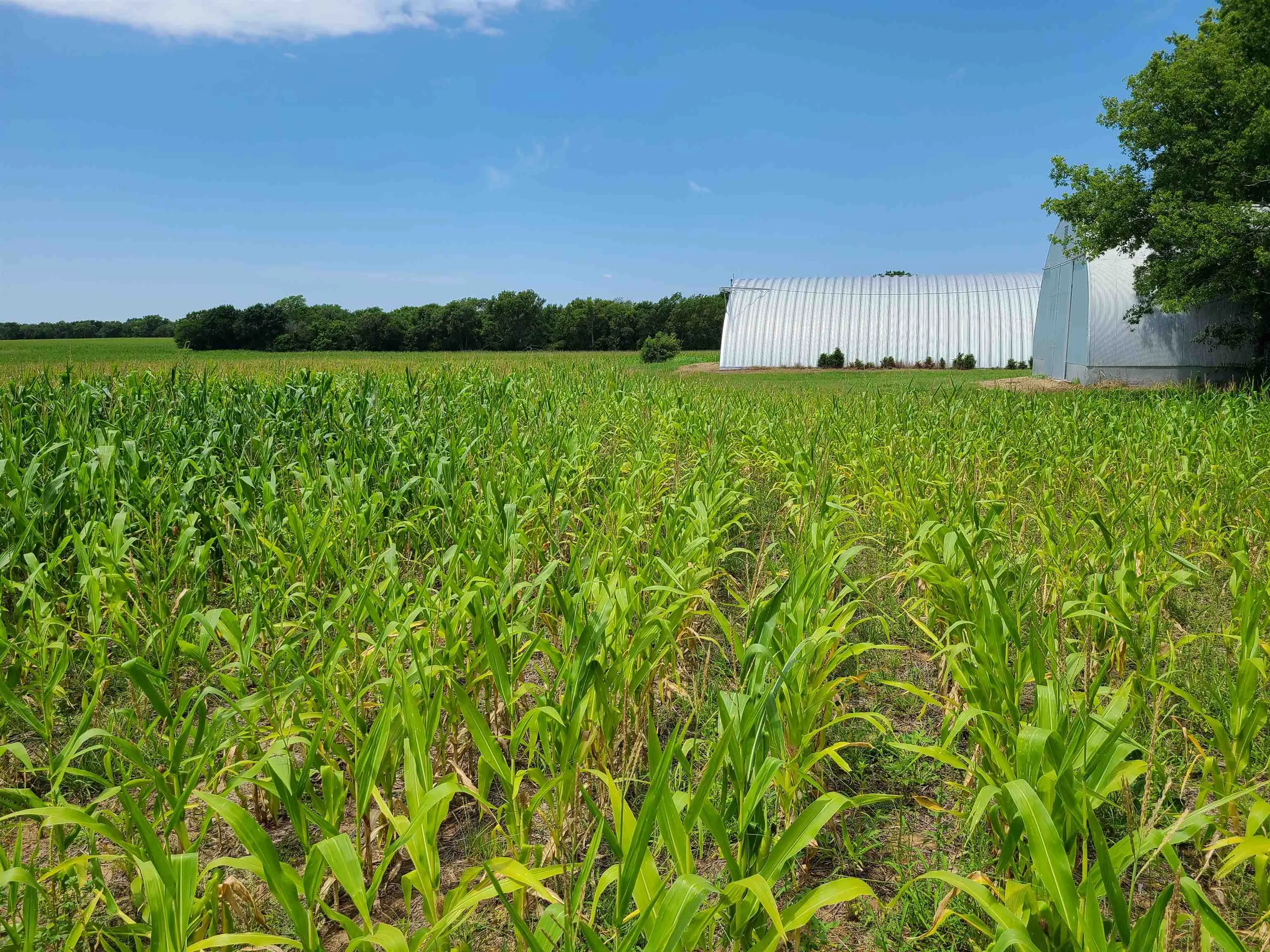 Winfield, Kansas 67156, United States, ,Residential,Pending,195168