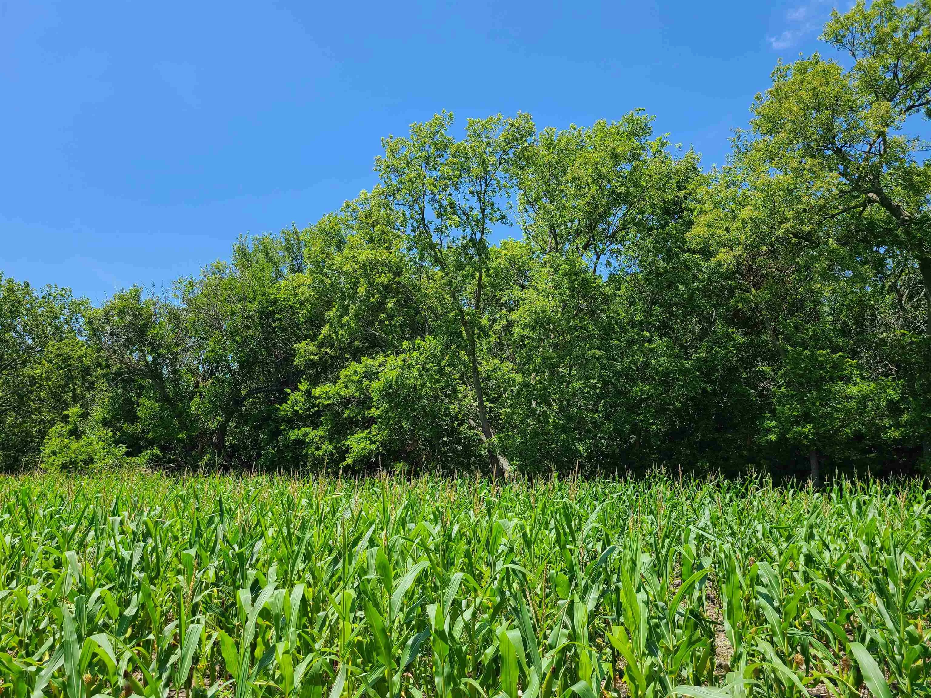 Winfield, Kansas 67156, United States, ,Residential,Pending,195168