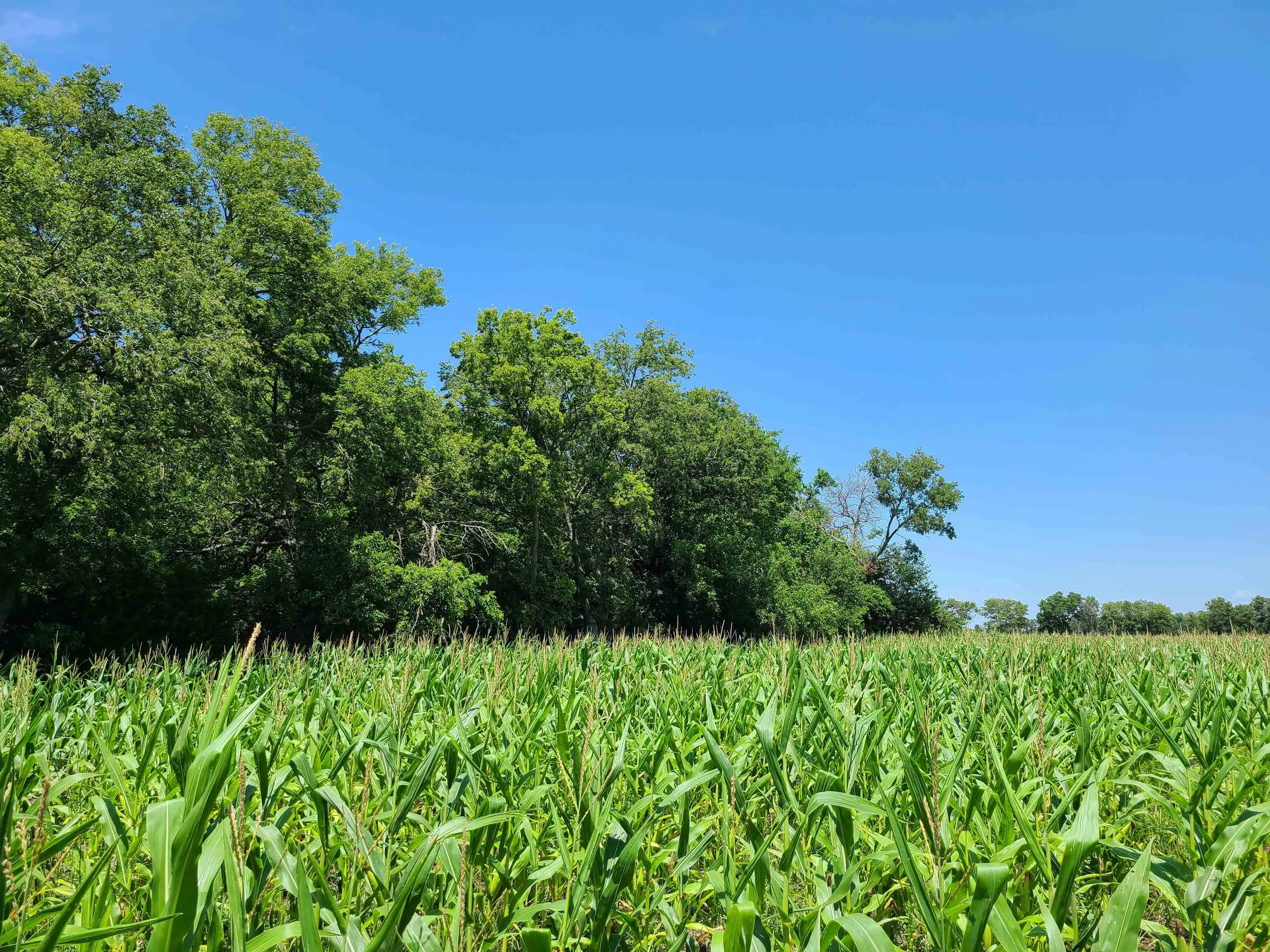 Winfield, Kansas 67156, United States, ,Residential,Pending,195168