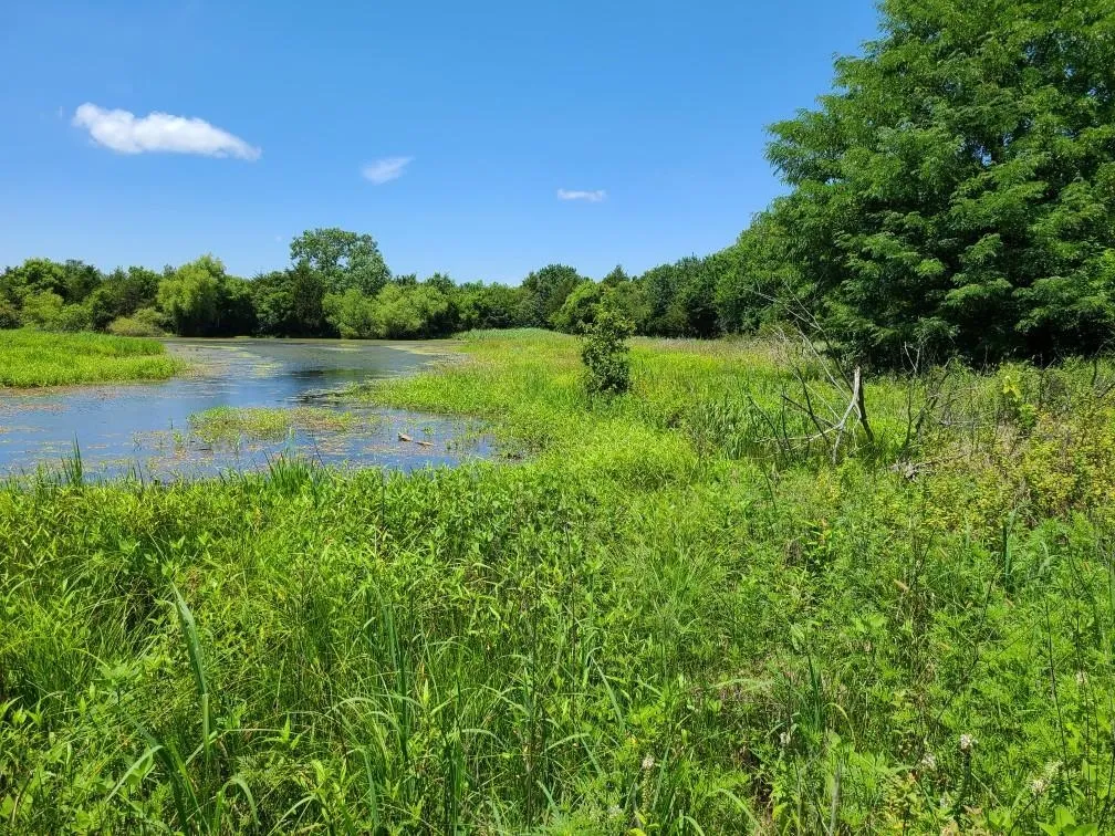 Winfield, Kansas 67156, United States, ,Residential,Pending,195168