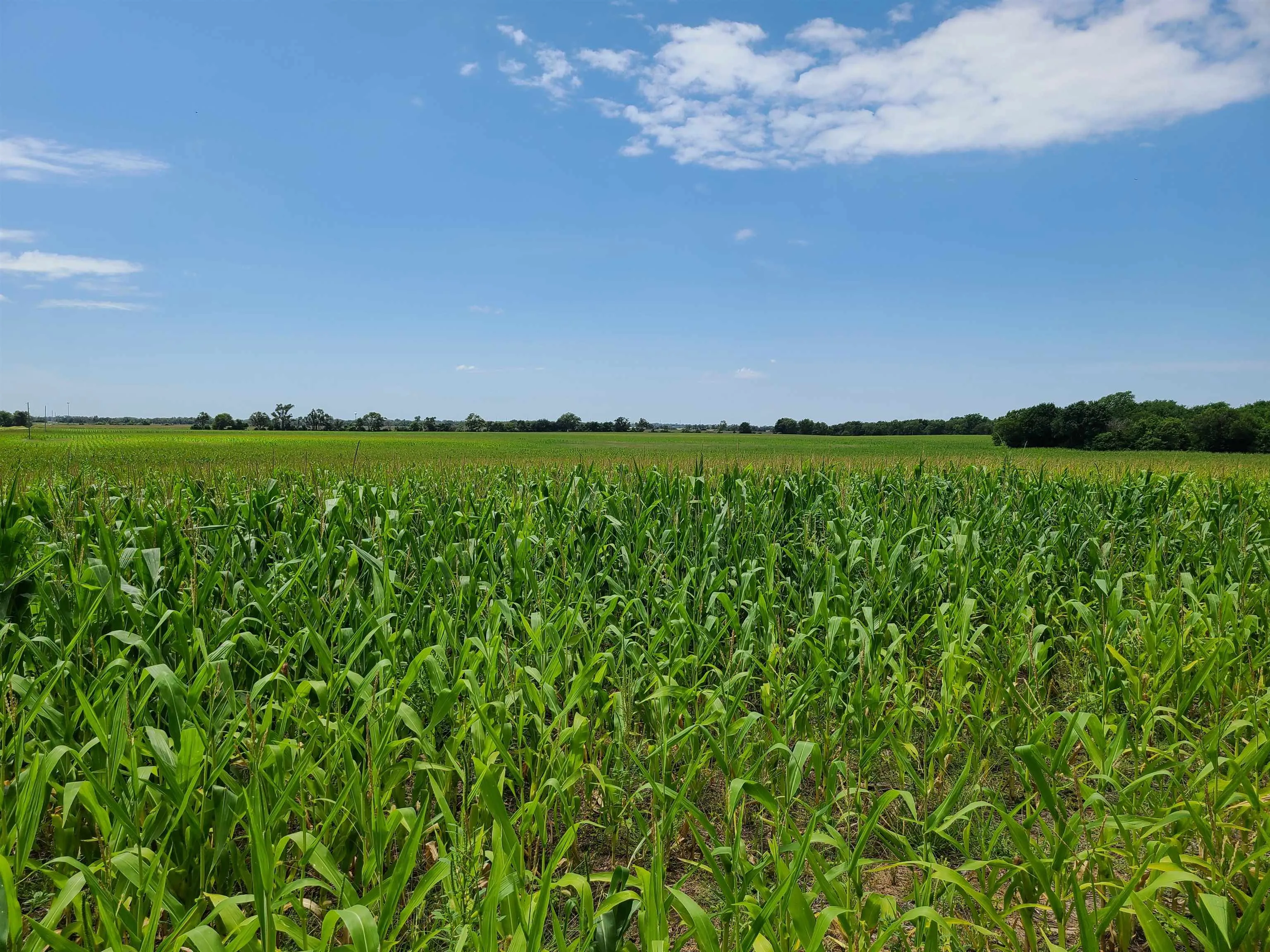 Winfield, Kansas 67156, United States, ,Residential,Pending,195168