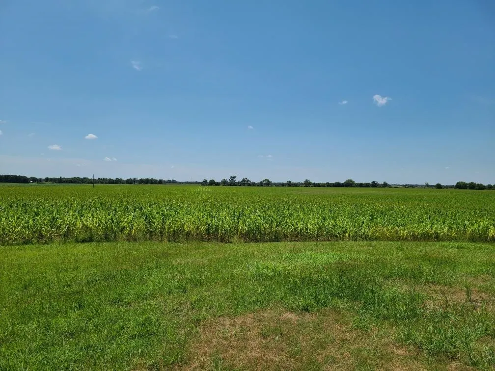 Winfield, Kansas 67156, United States, ,Residential,Pending,195168