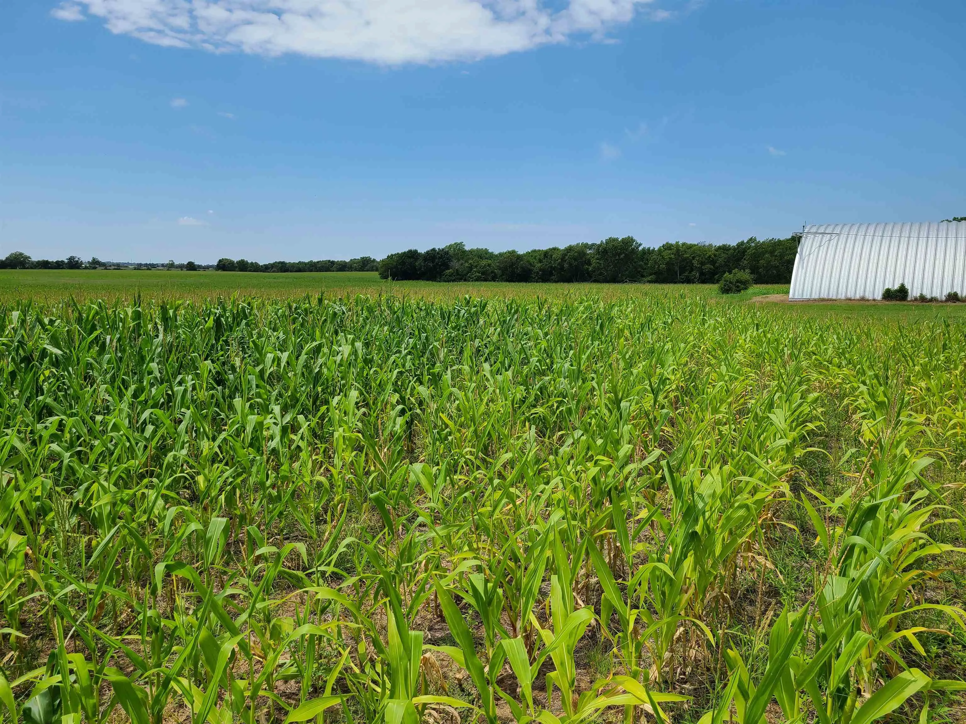 Winfield, Kansas 67156, United States, ,Residential,Pending,195168