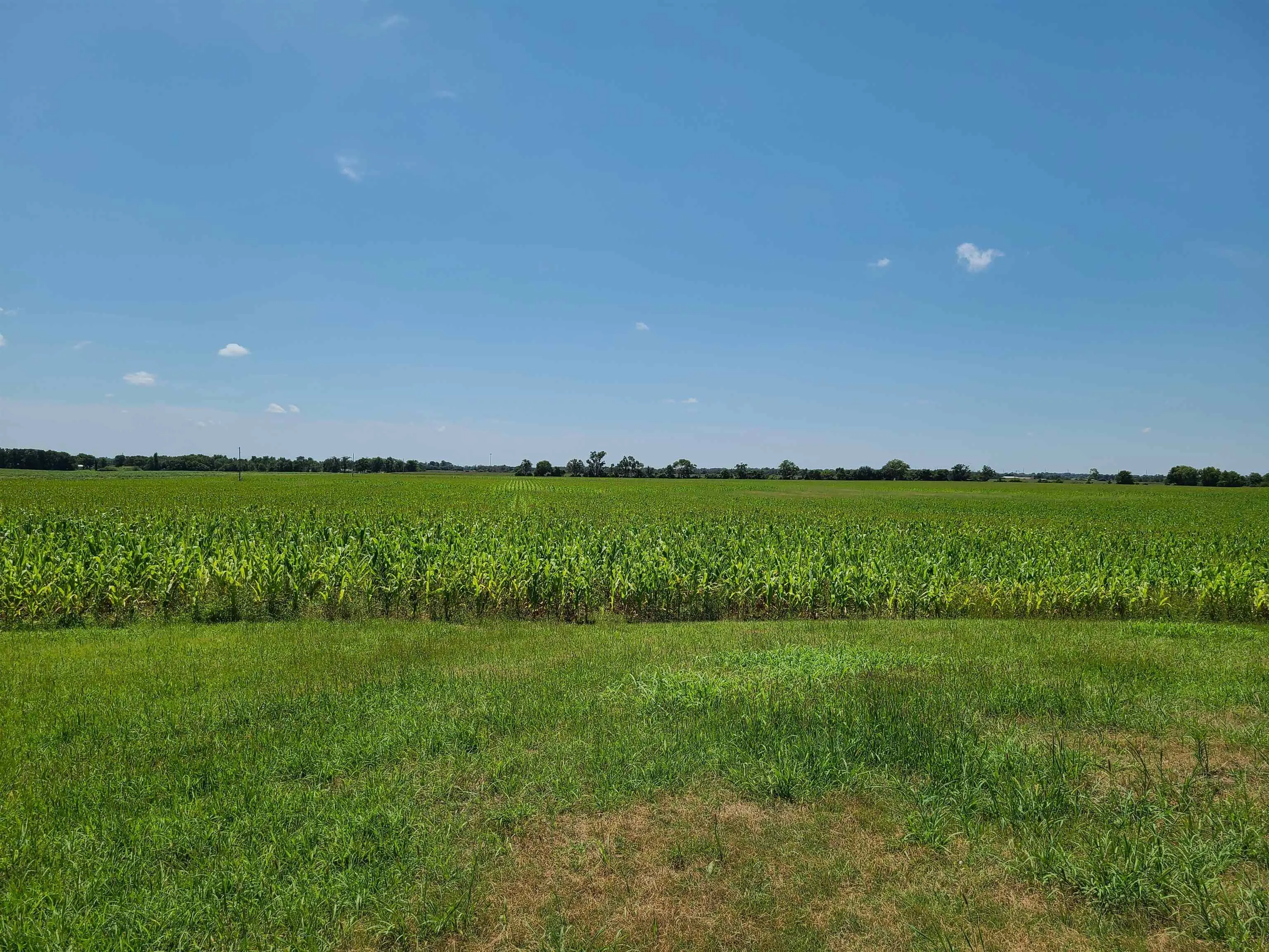 Winfield, Kansas 67156, United States, ,Residential,Pending,195168