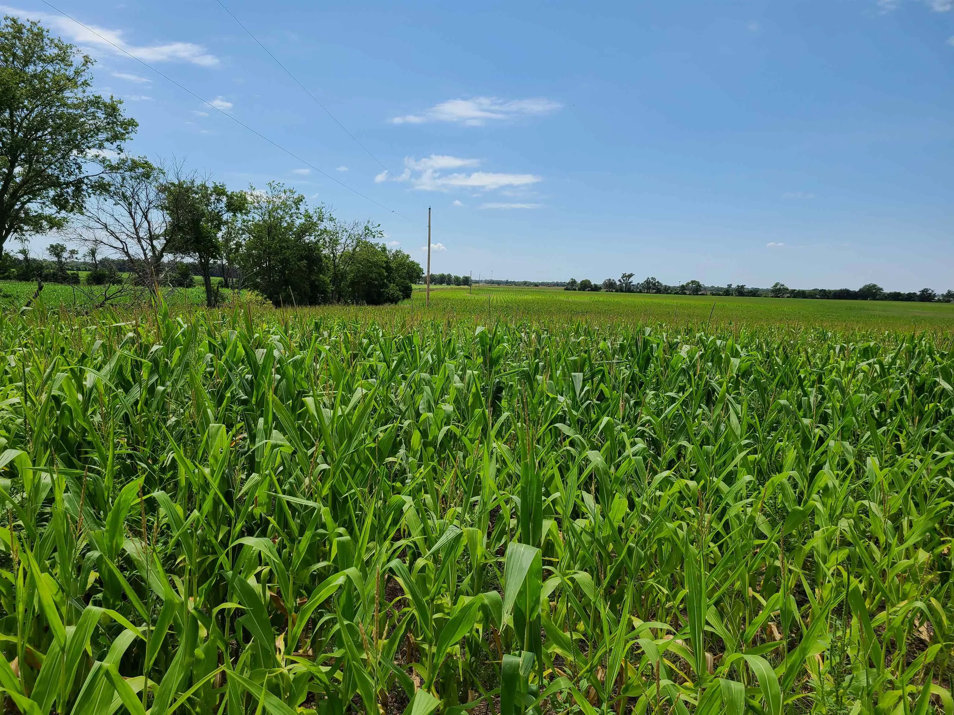 Winfield, Kansas 67156, United States, ,Residential,Pending,195168