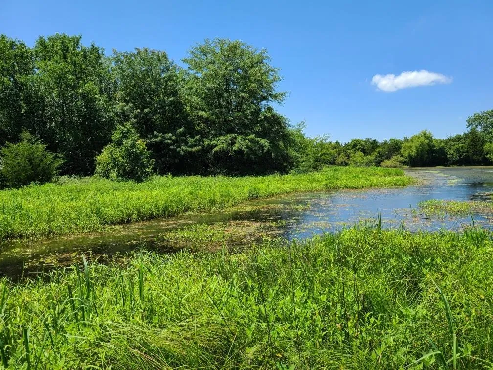 Winfield, Kansas 67156, United States, ,Residential,Pending,195168