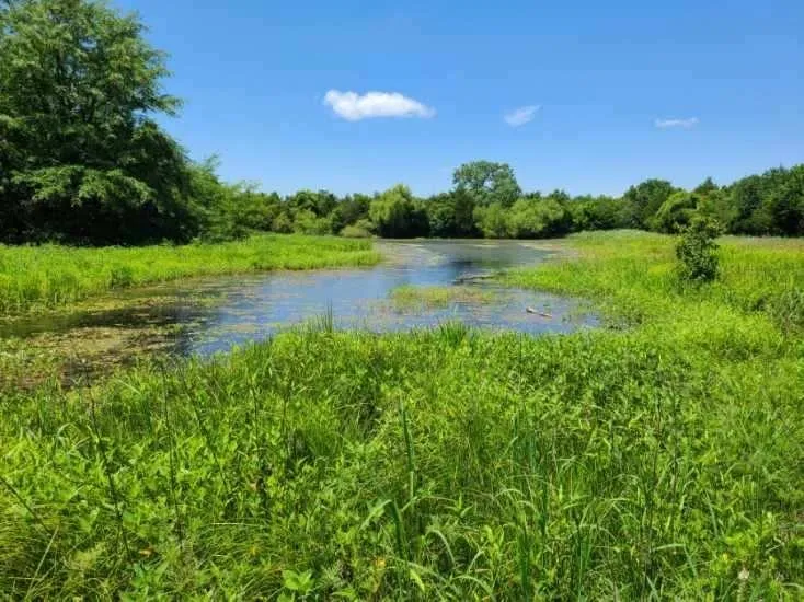 Winfield, Kansas 67156, United States, ,Residential,Pending,195168