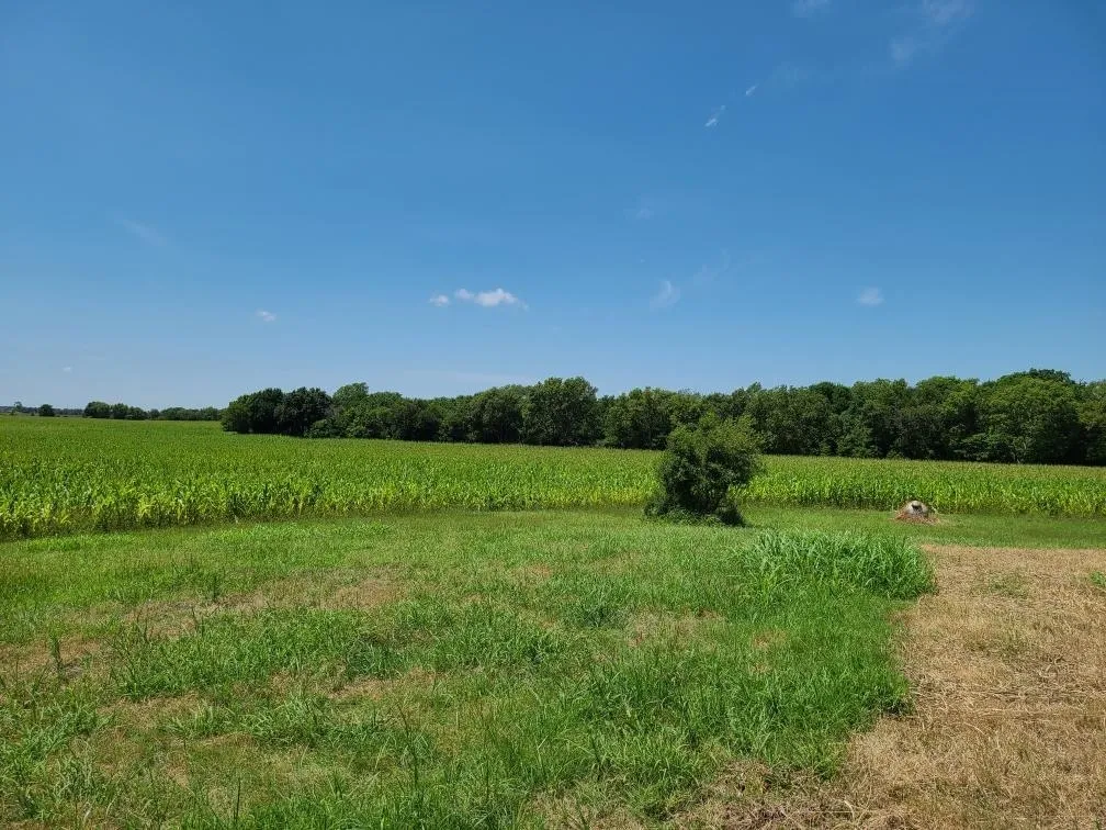 Winfield, Kansas 67156, United States, ,Residential,Pending,195168