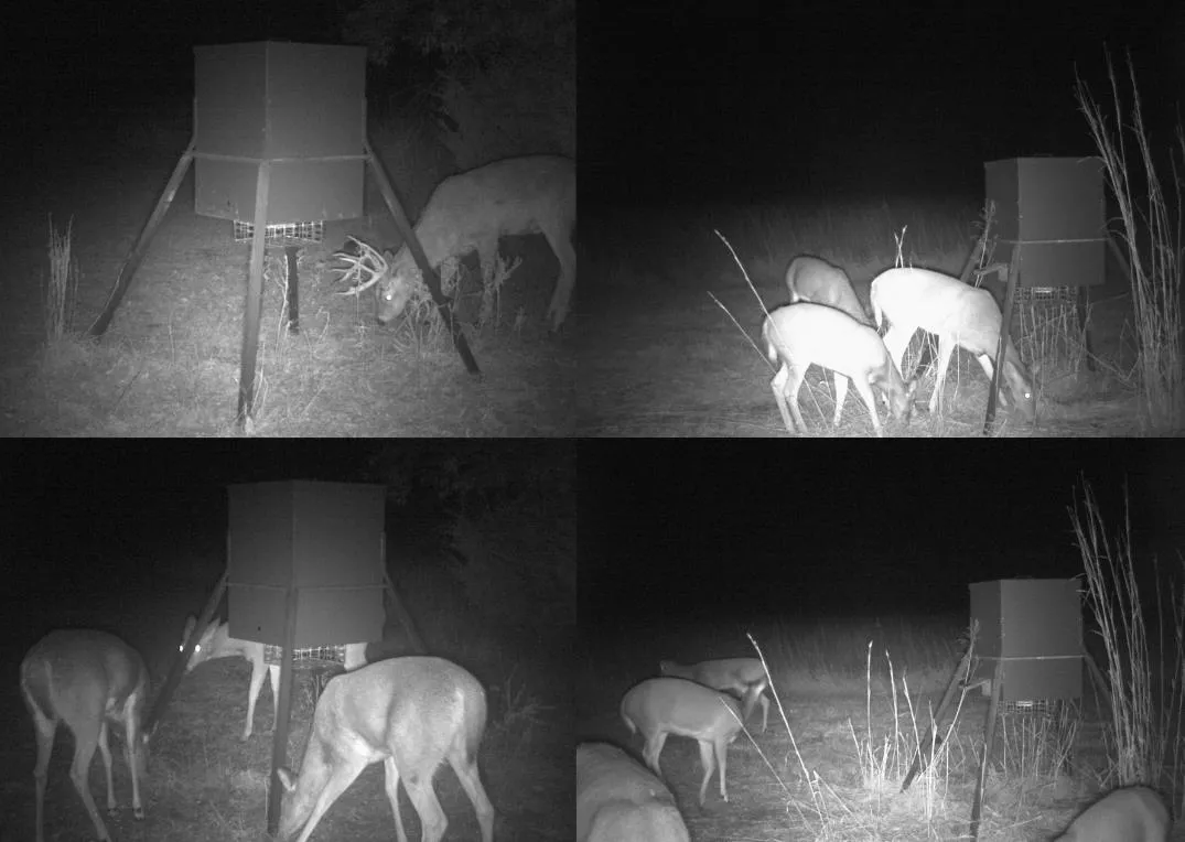 Milton, Kansas 67106, United States, 6 Bedrooms Bedrooms, ,7 BathroomsBathrooms,Residential,Active,240851