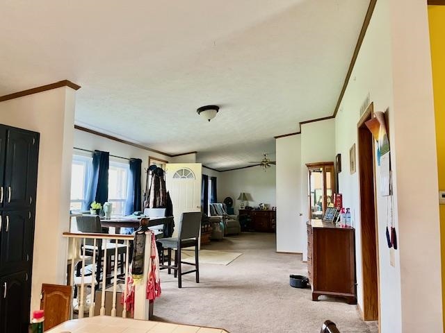 15712 W 117th N St, Sedgwick, Virginia image 4